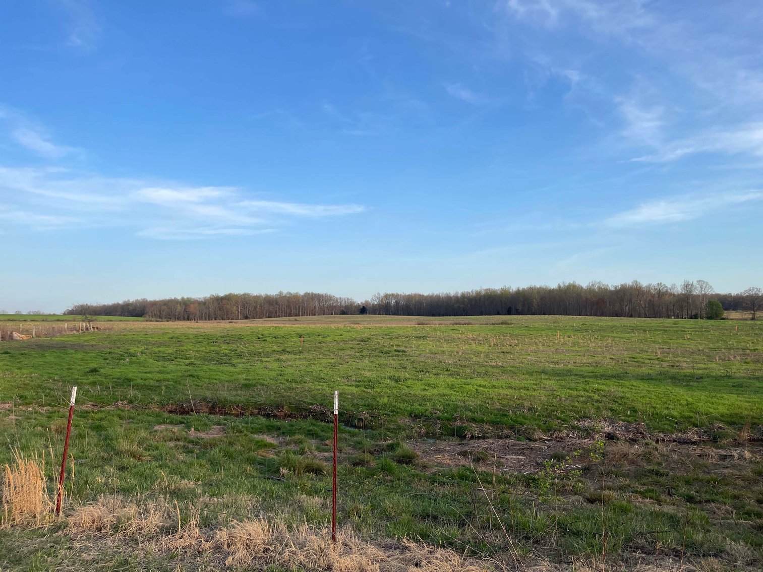 Image for Solomon Lane, Woodbury