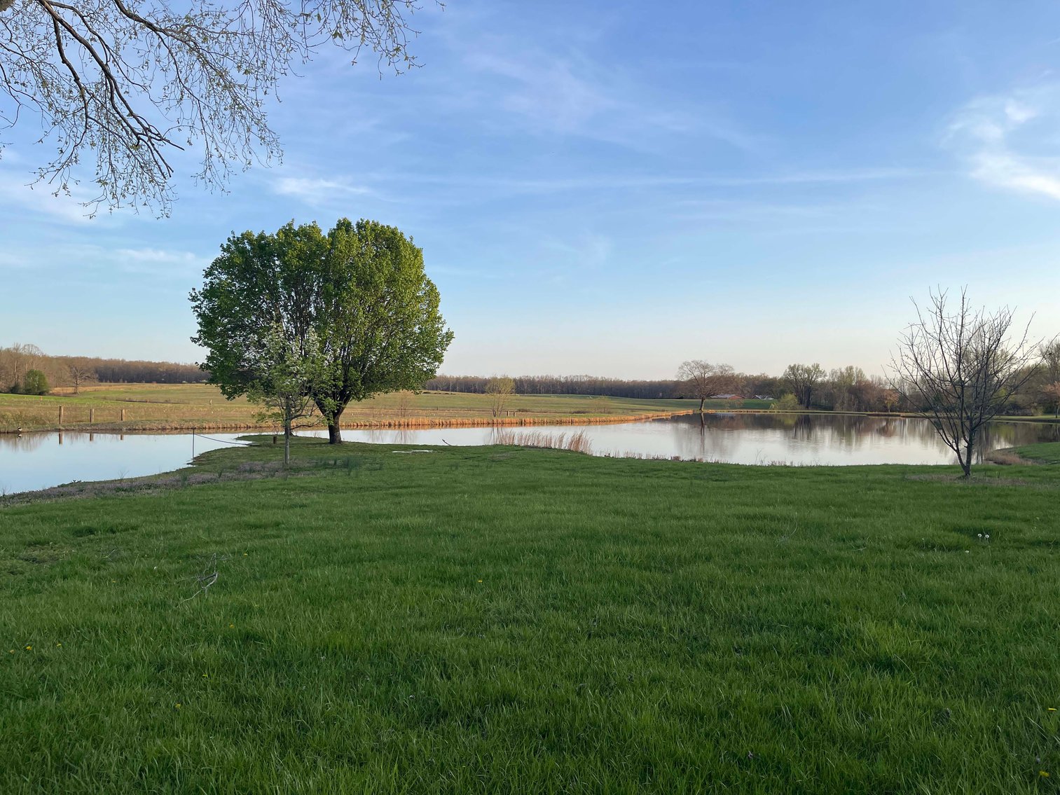 Image for Solomon Lane, Woodbury