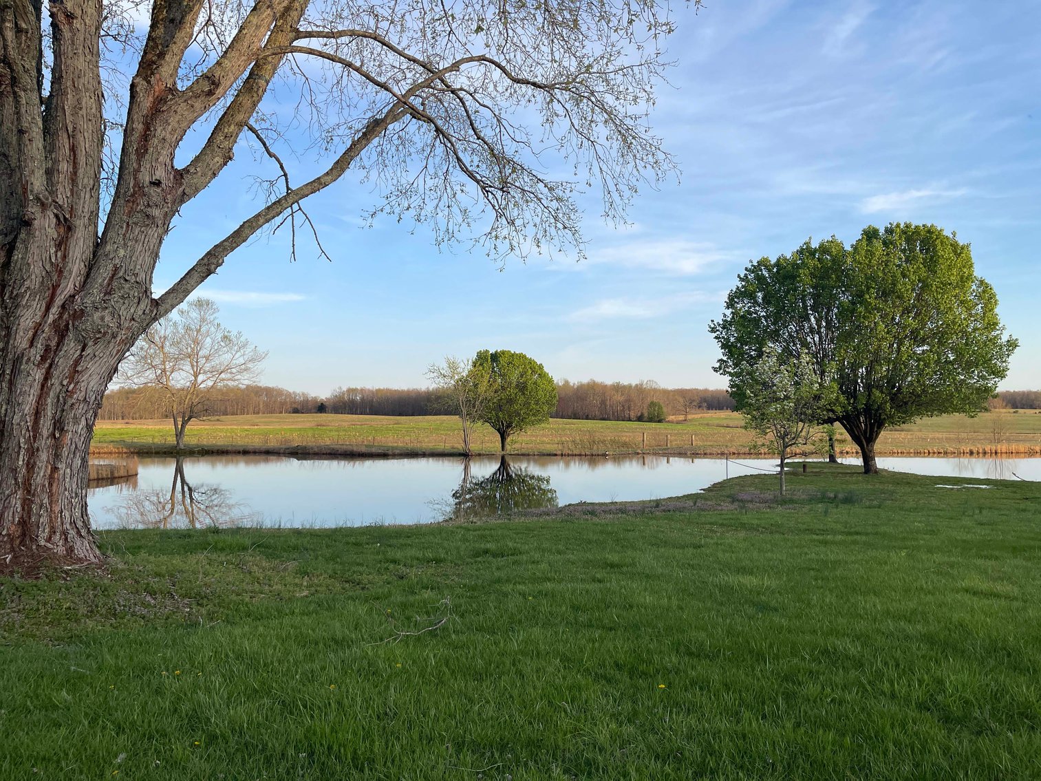 Image for Solomon Lane, Woodbury