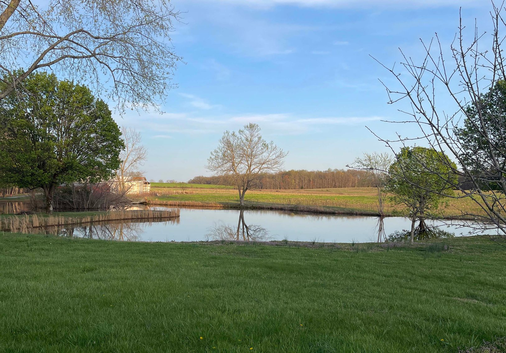 Image for Solomon Lane, Woodbury