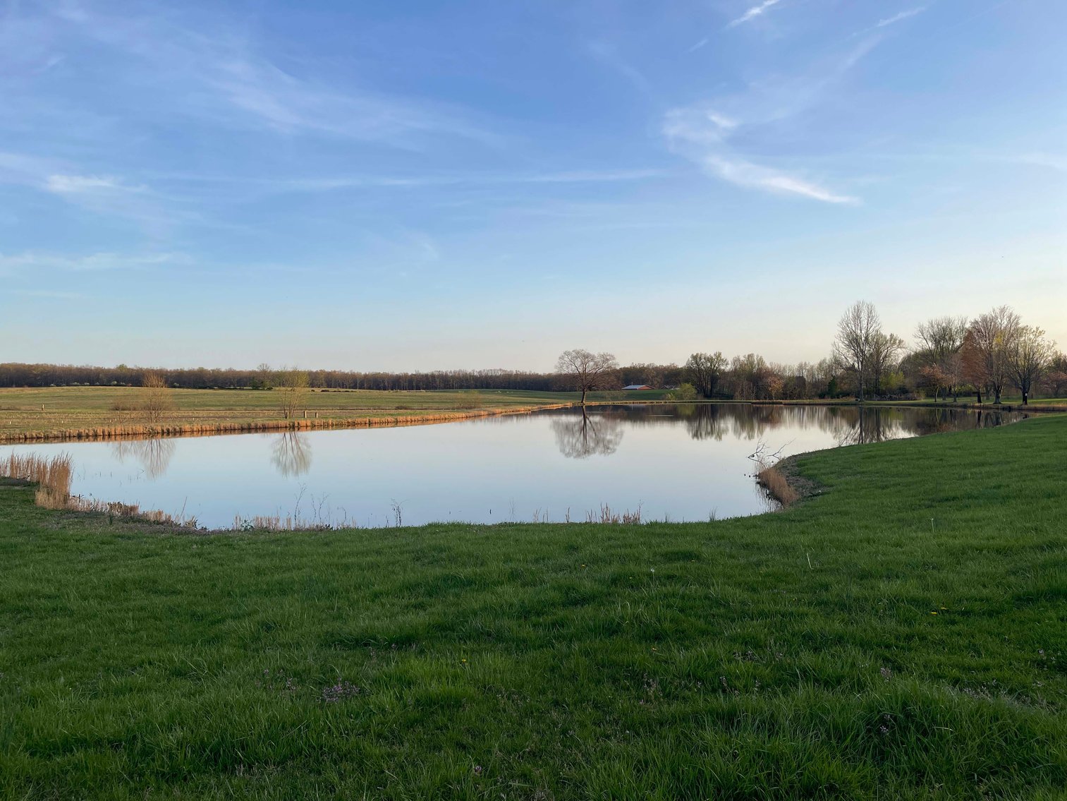 Image for Solomon Lane, Woodbury