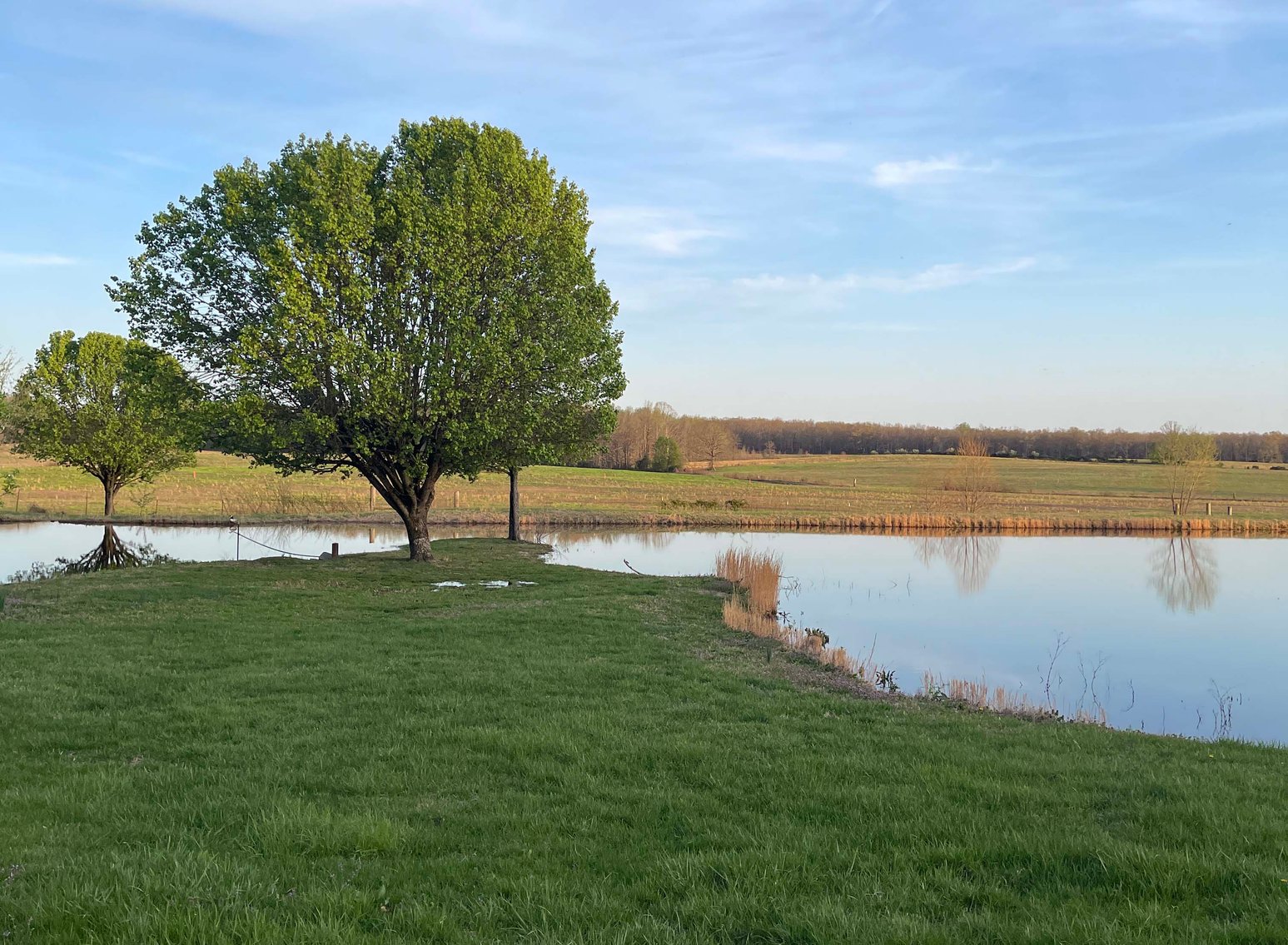 Image for Solomon Lane, Woodbury