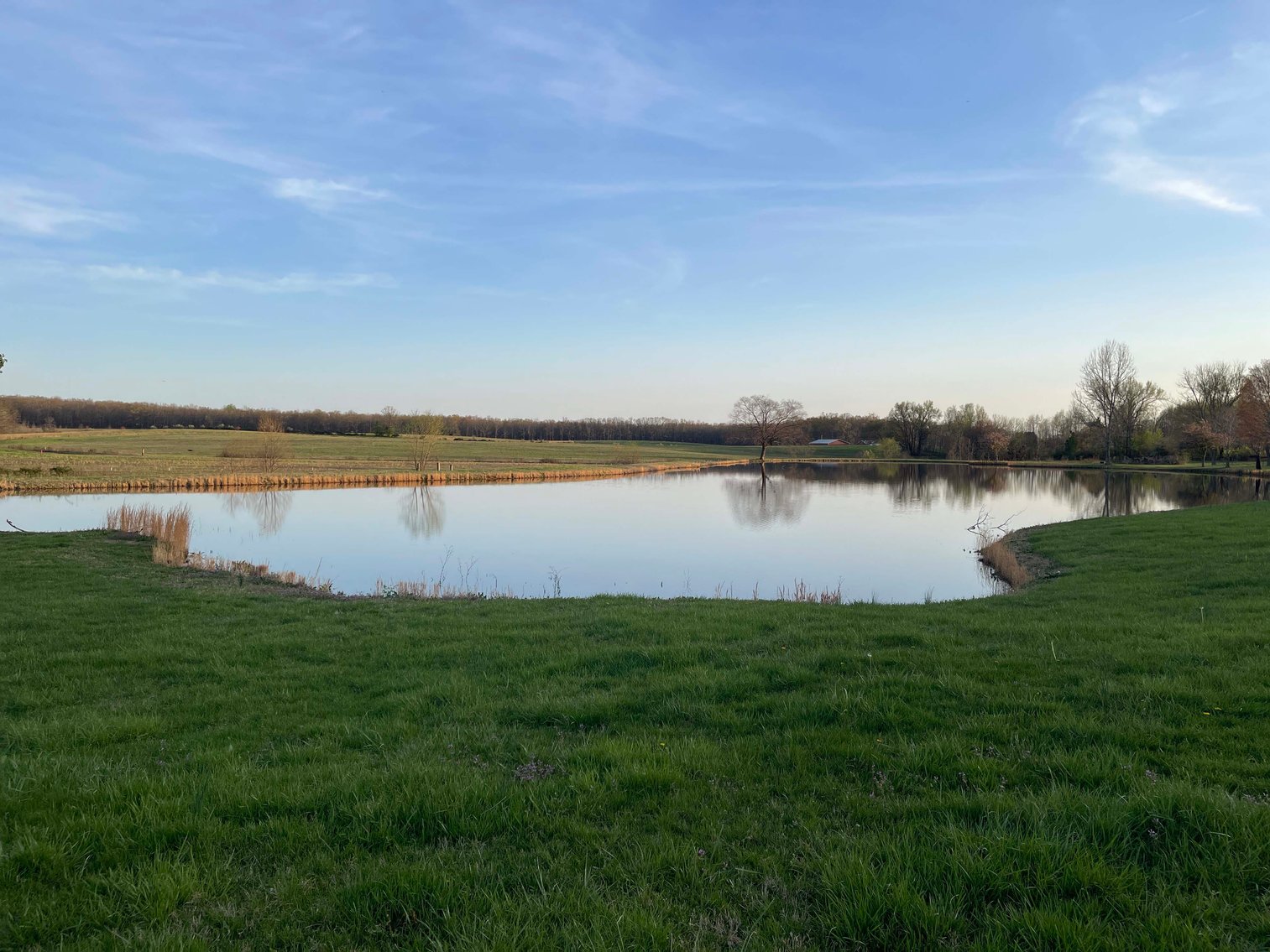 Image for Solomon Lane, Woodbury