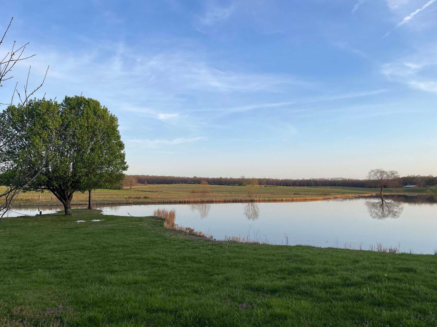 Image for Solomon Lane, Woodbury