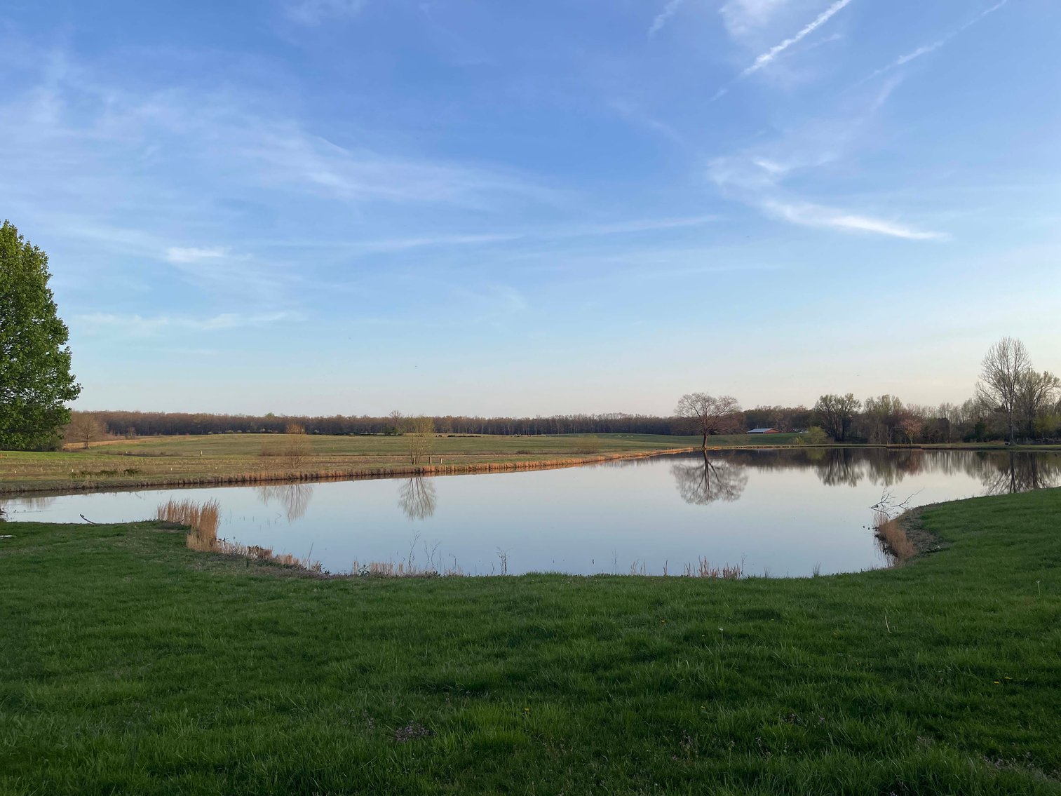 Image for Solomon Lane, Woodbury