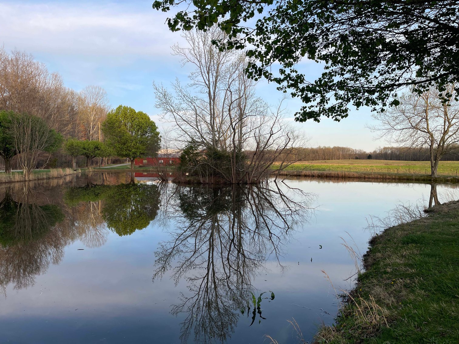 Image for Solomon Lane, Woodbury