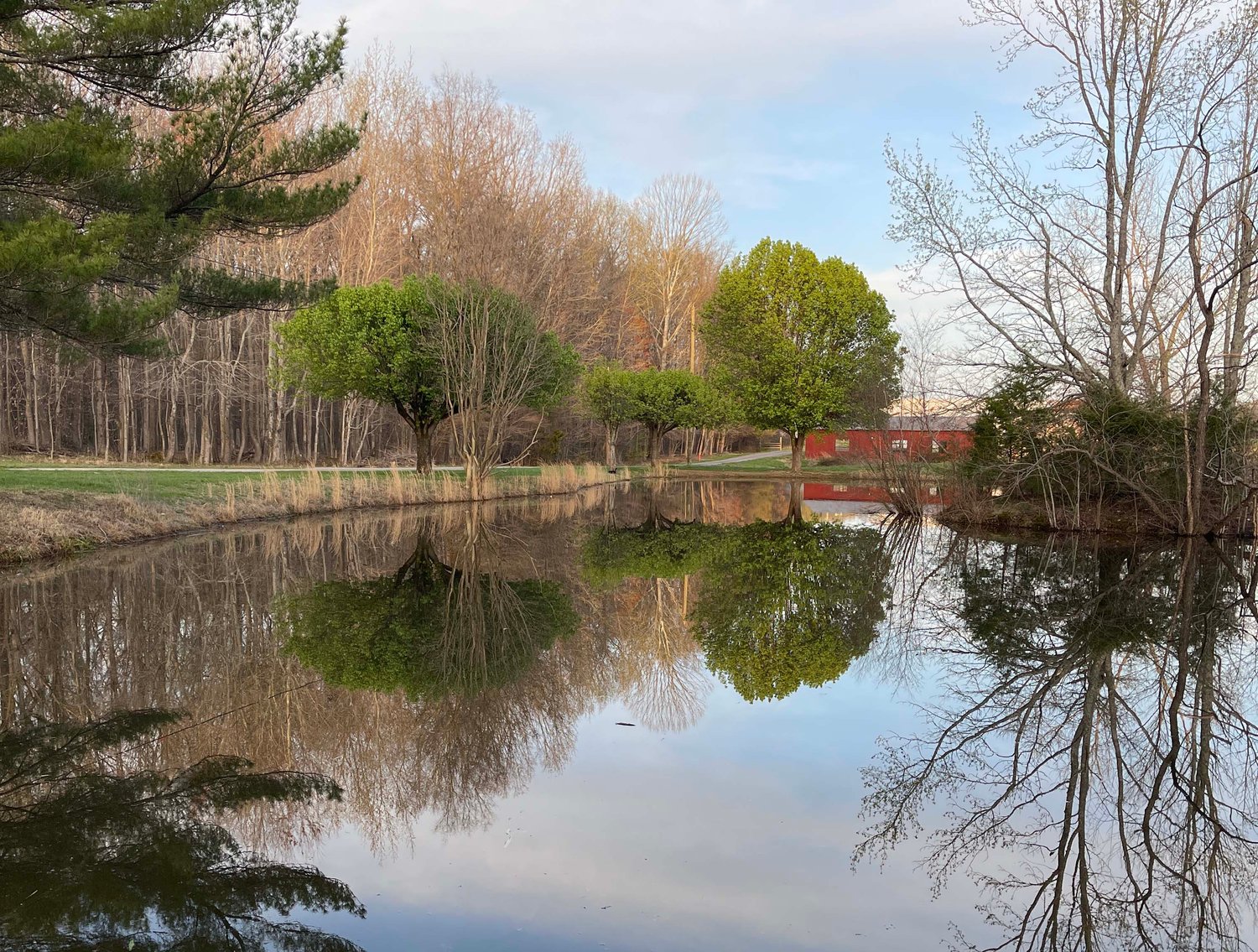 Image for Solomon Lane, Woodbury