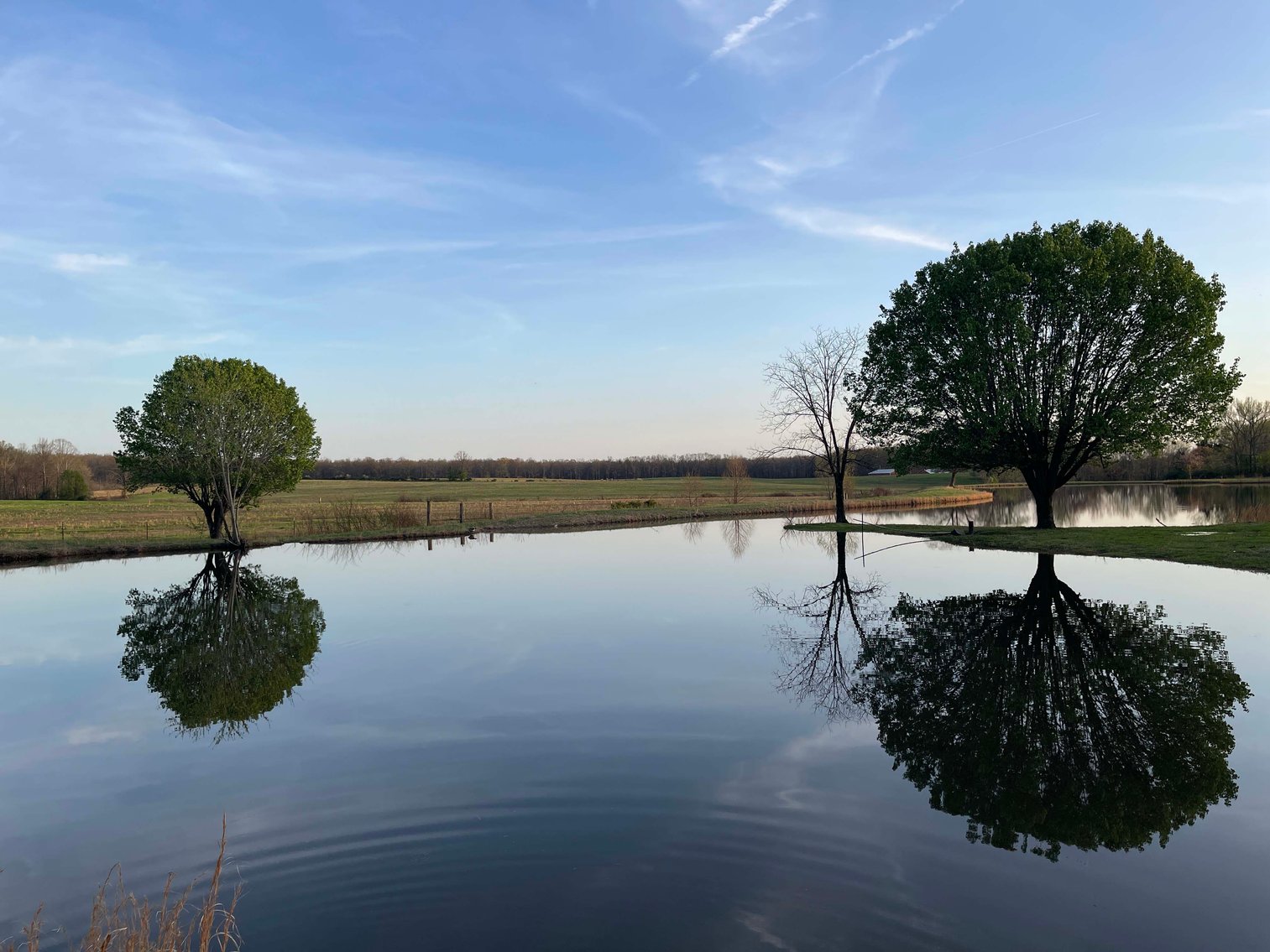 Image for Solomon Lane, Woodbury