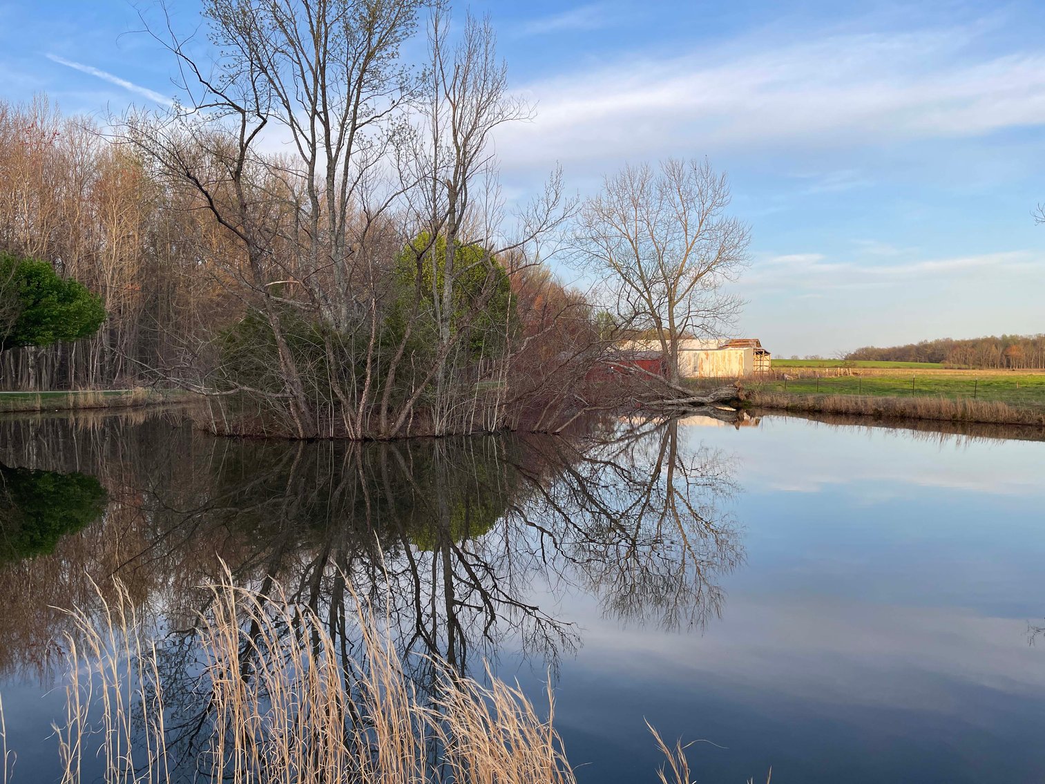 Image for Solomon Lane, Woodbury