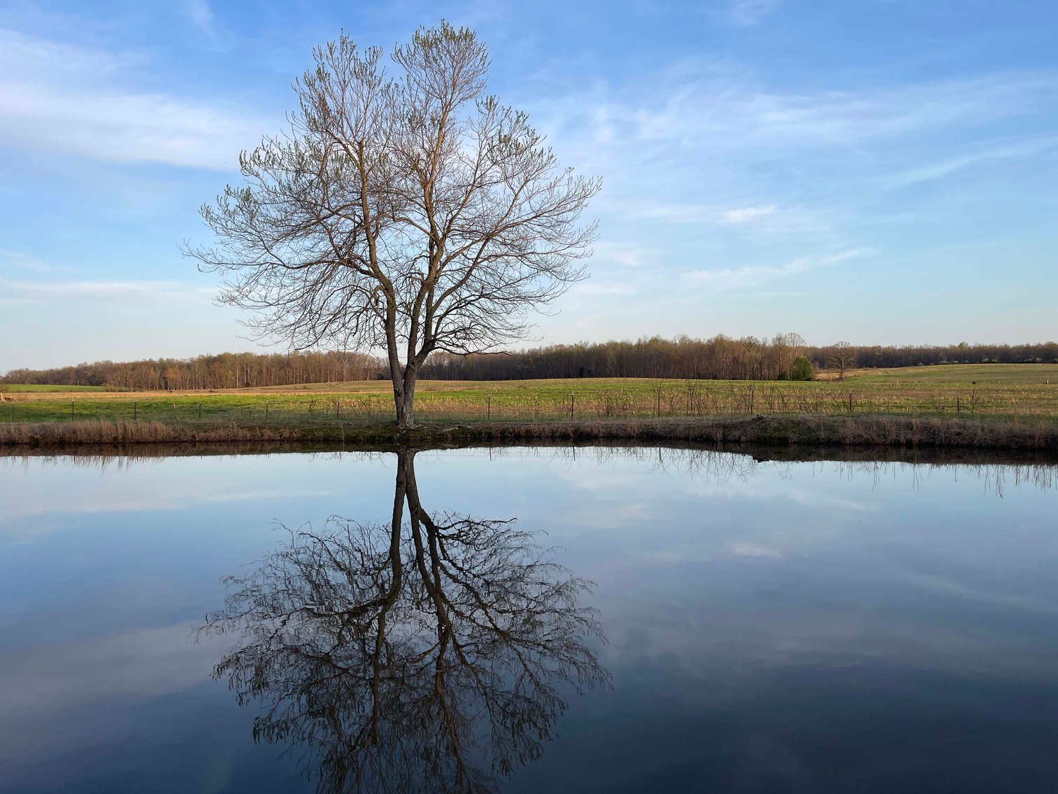 Image for Solomon Lane, Woodbury