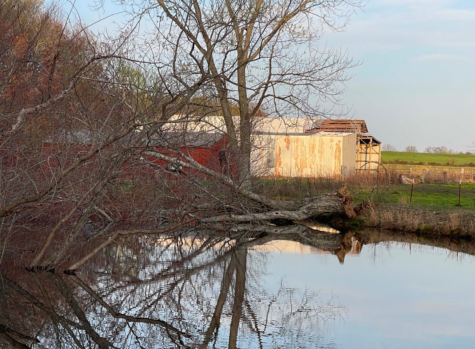 Image for Solomon Lane, Woodbury