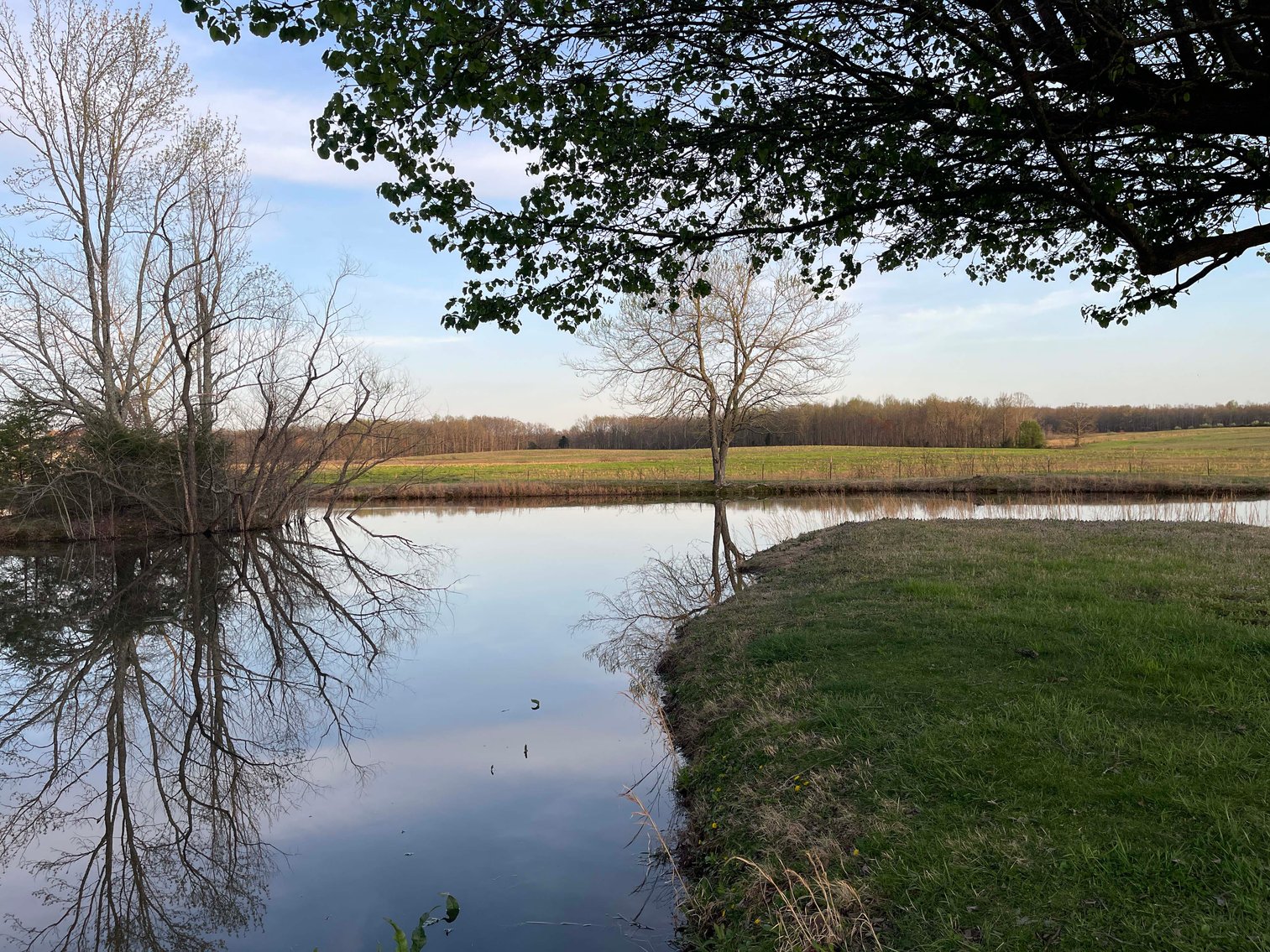 Image for Solomon Lane, Woodbury