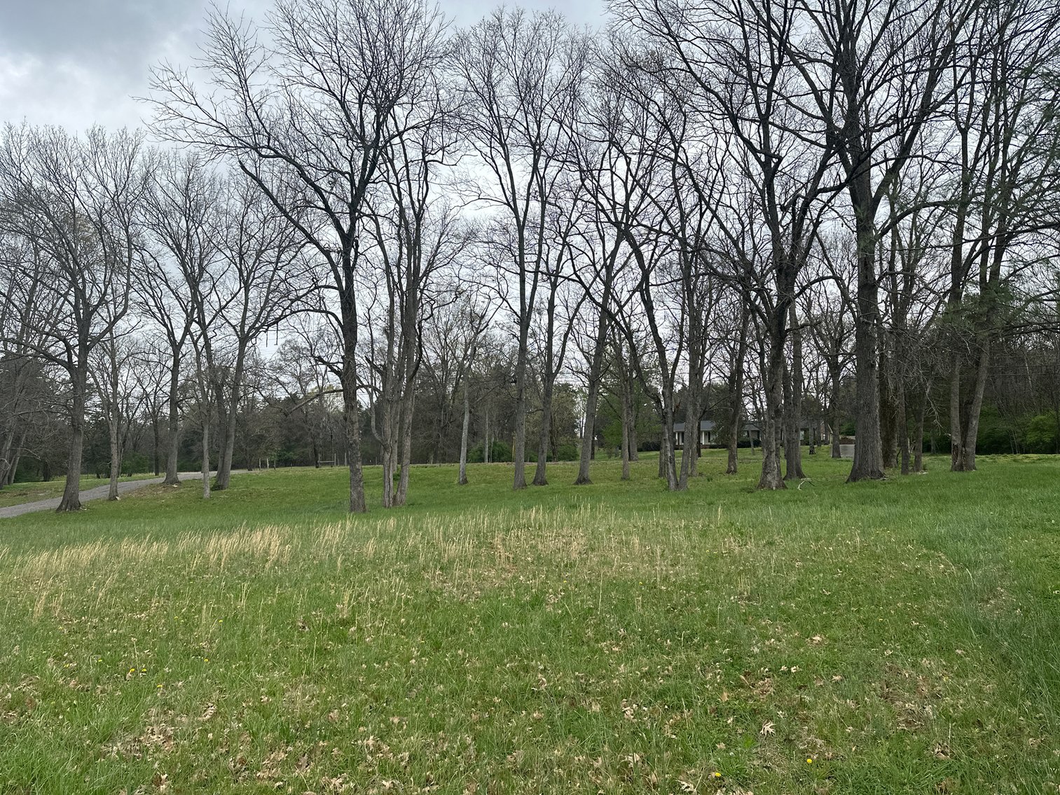 Image for 14155 Old Hickory Boulevard, Antioch