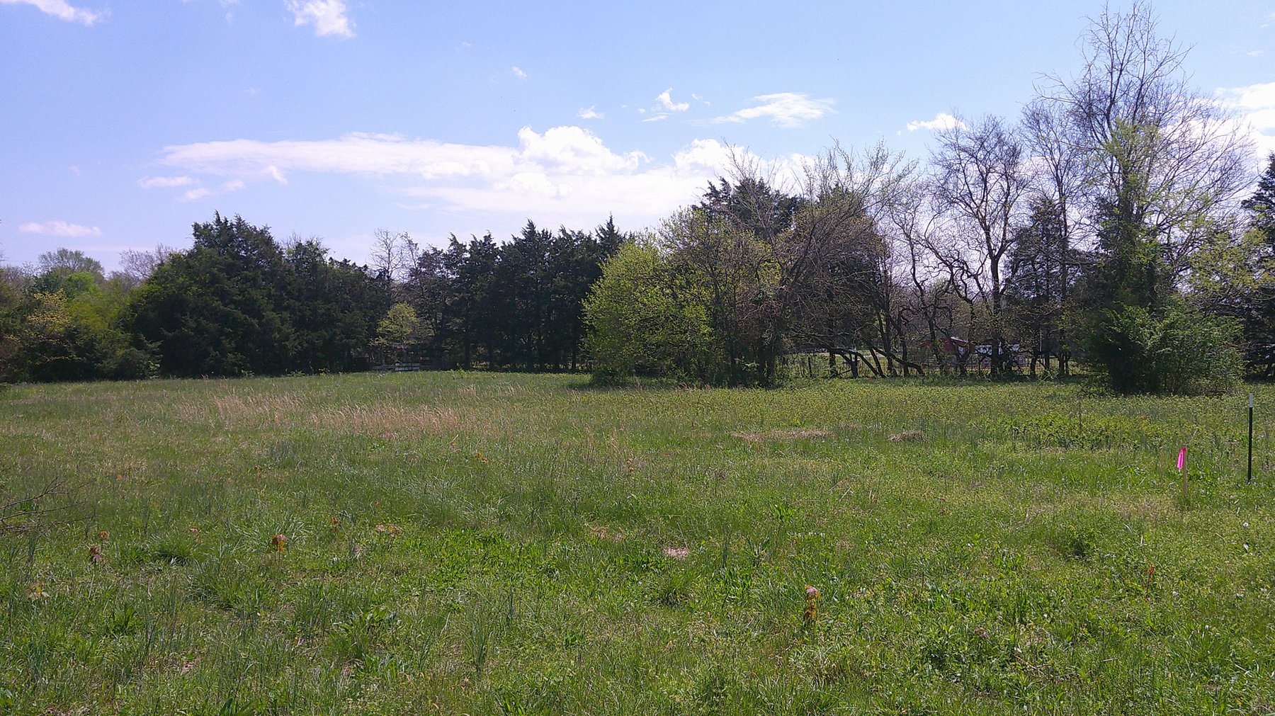 Image for 2531 Highway 64 West, Shelbyville