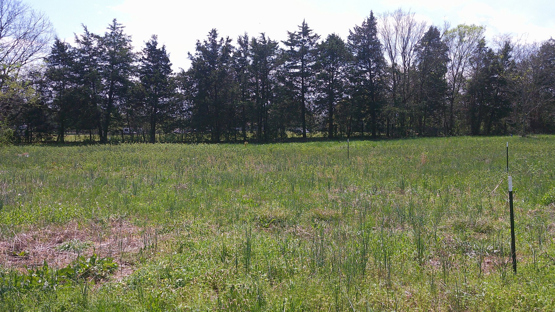 Image for 2531 Highway 64 West, Shelbyville