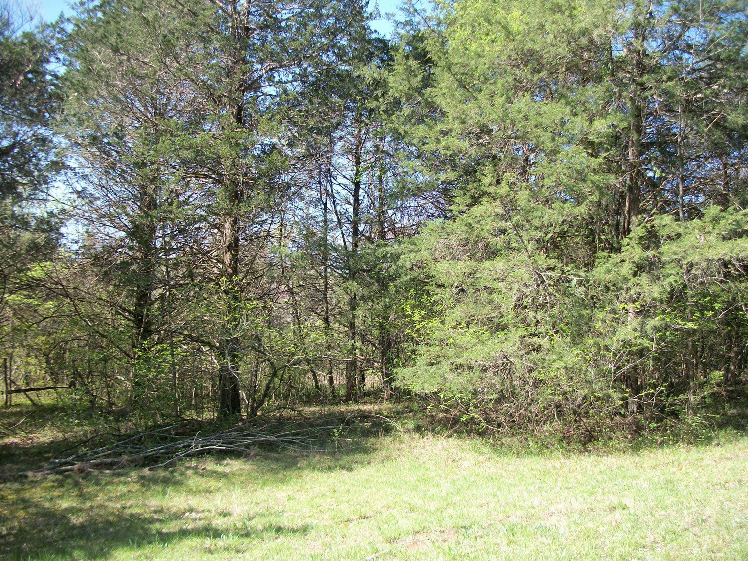 Image for 631 N Lassiter Barker Road, Readyville