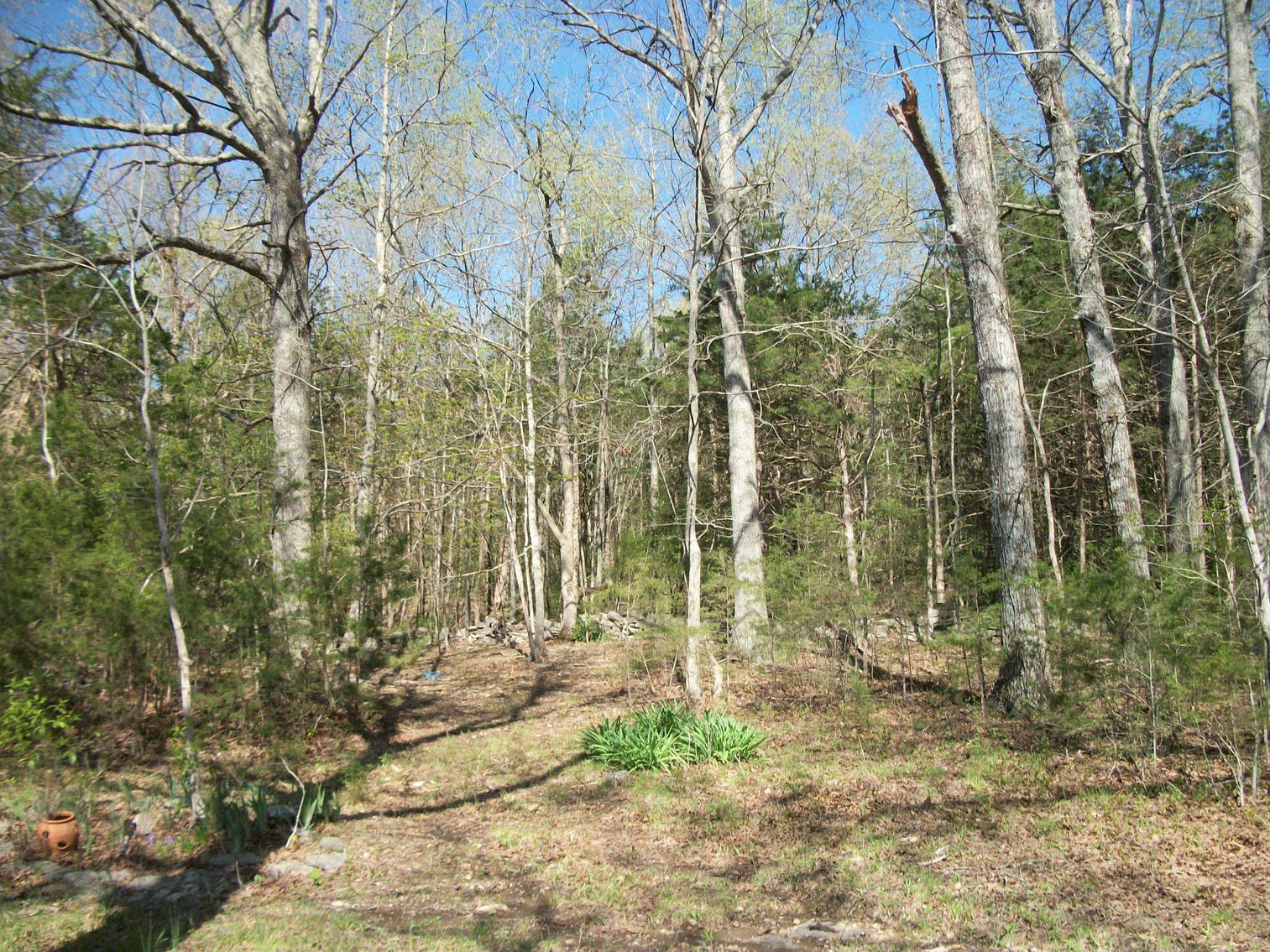 Image for 631 N Lassiter Barker Road, Readyville