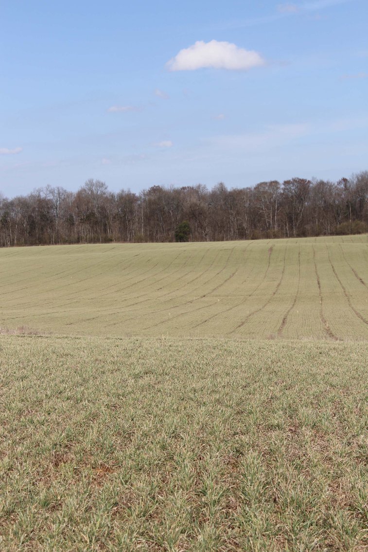 Image for 2108 Powell Lane, Lewisburg - House