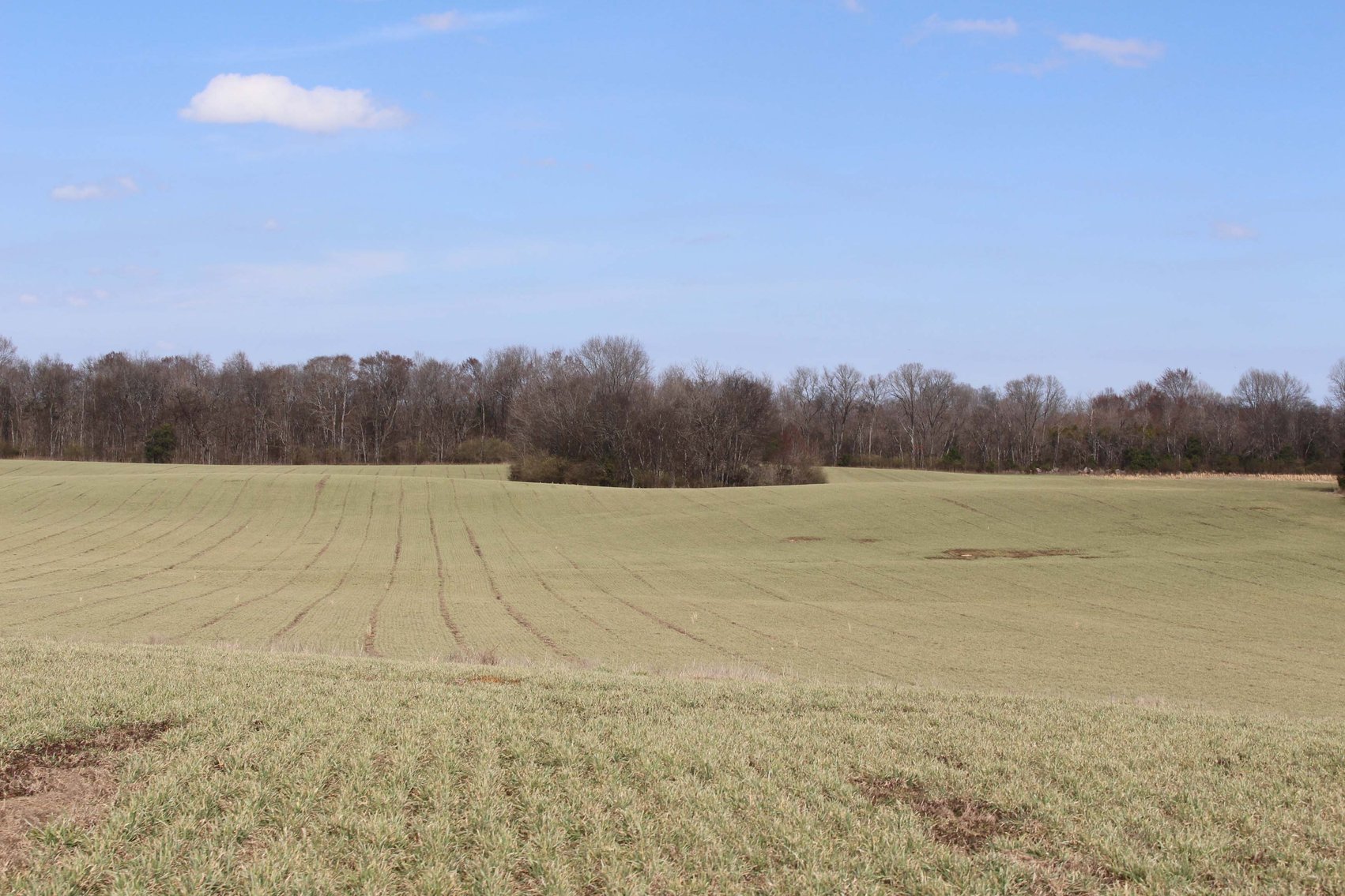 Image for 2108 Powell Lane, Lewisburg - House