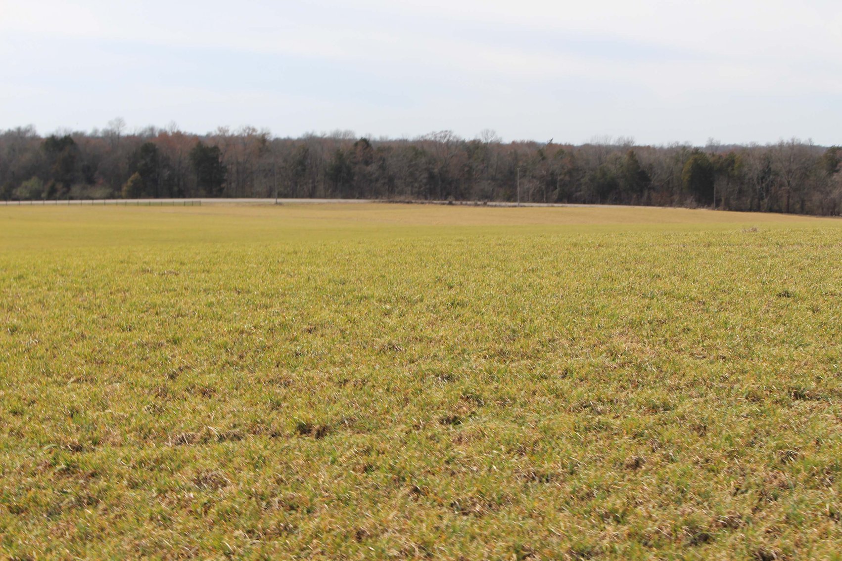 Image for 2108 Powell Lane, Lewisburg - House