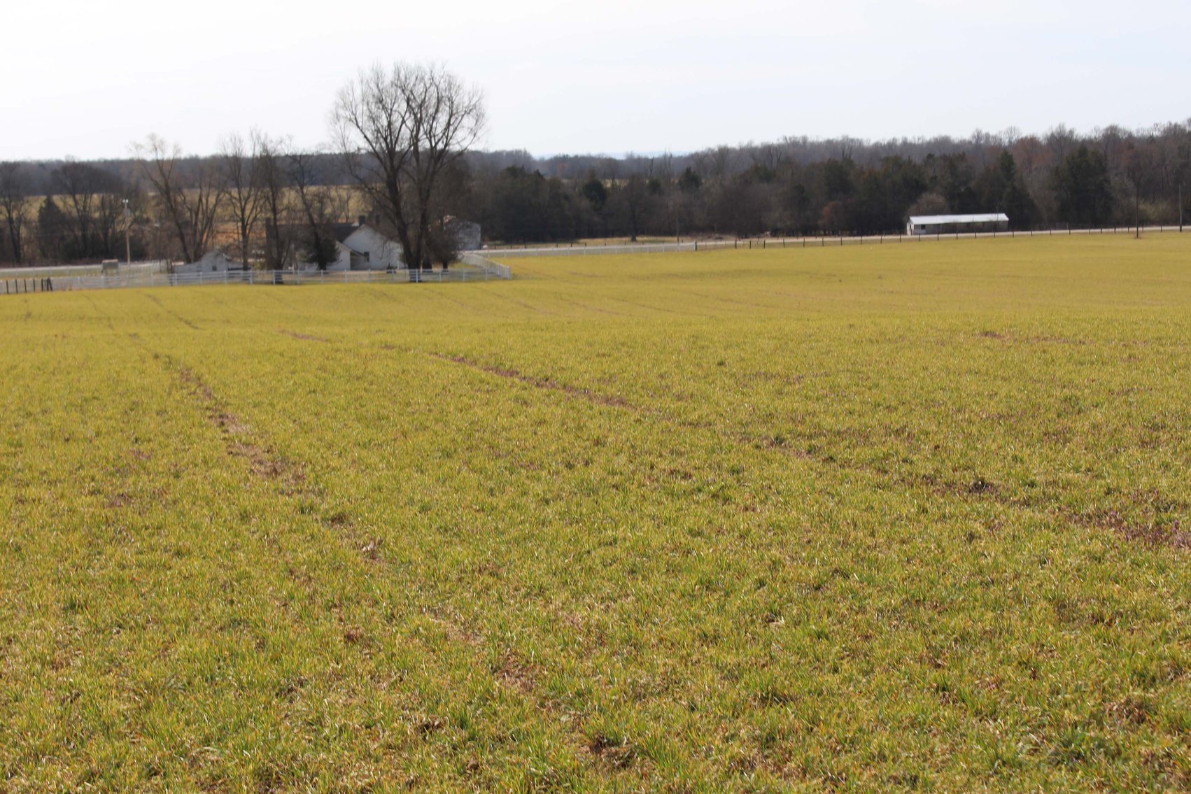 Image for 2108 Powell Lane, Lewisburg - House