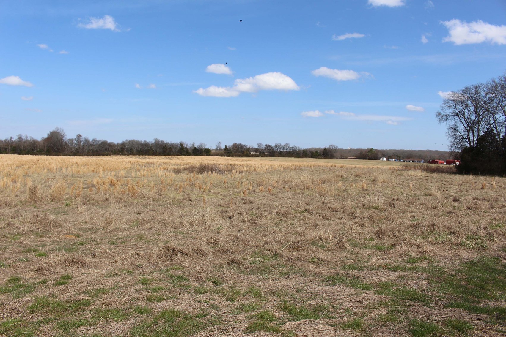 Image for 2108 Powell Lane, Lewisburg - House