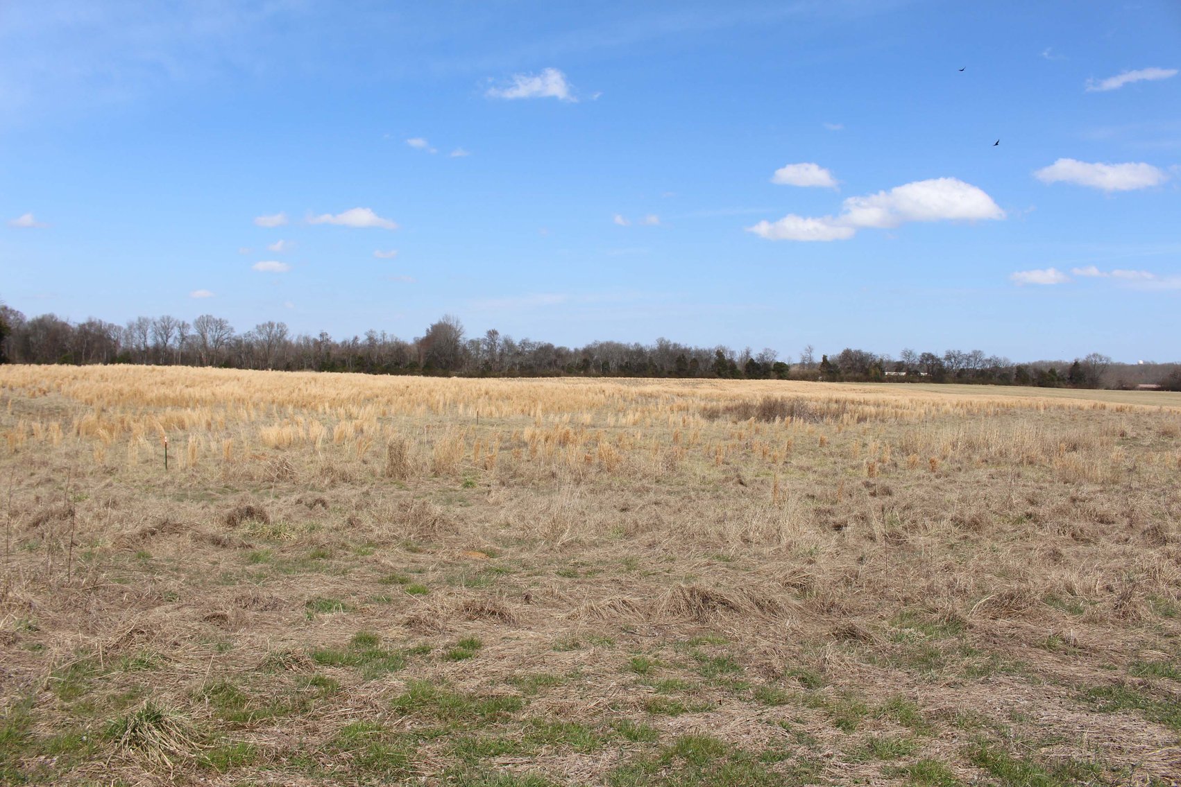 Image for 2108 Powell Lane, Lewisburg - House