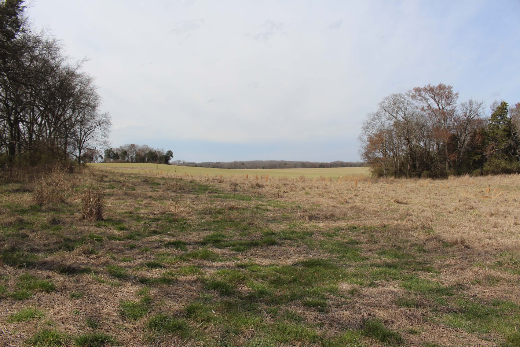 Image for 2108 Powell Lane, Lewisburg - House