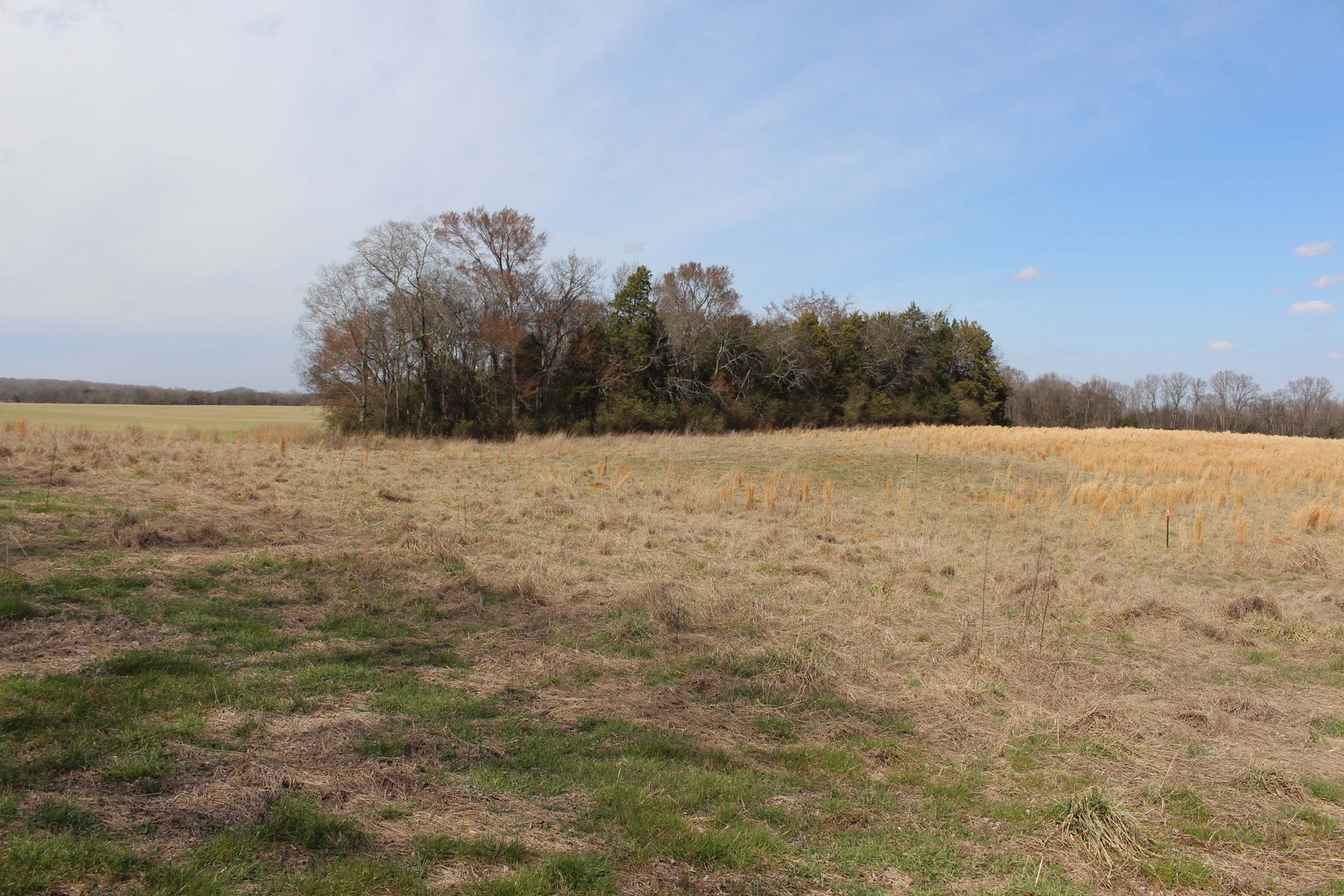 Image for 2108 Powell Lane, Lewisburg - House