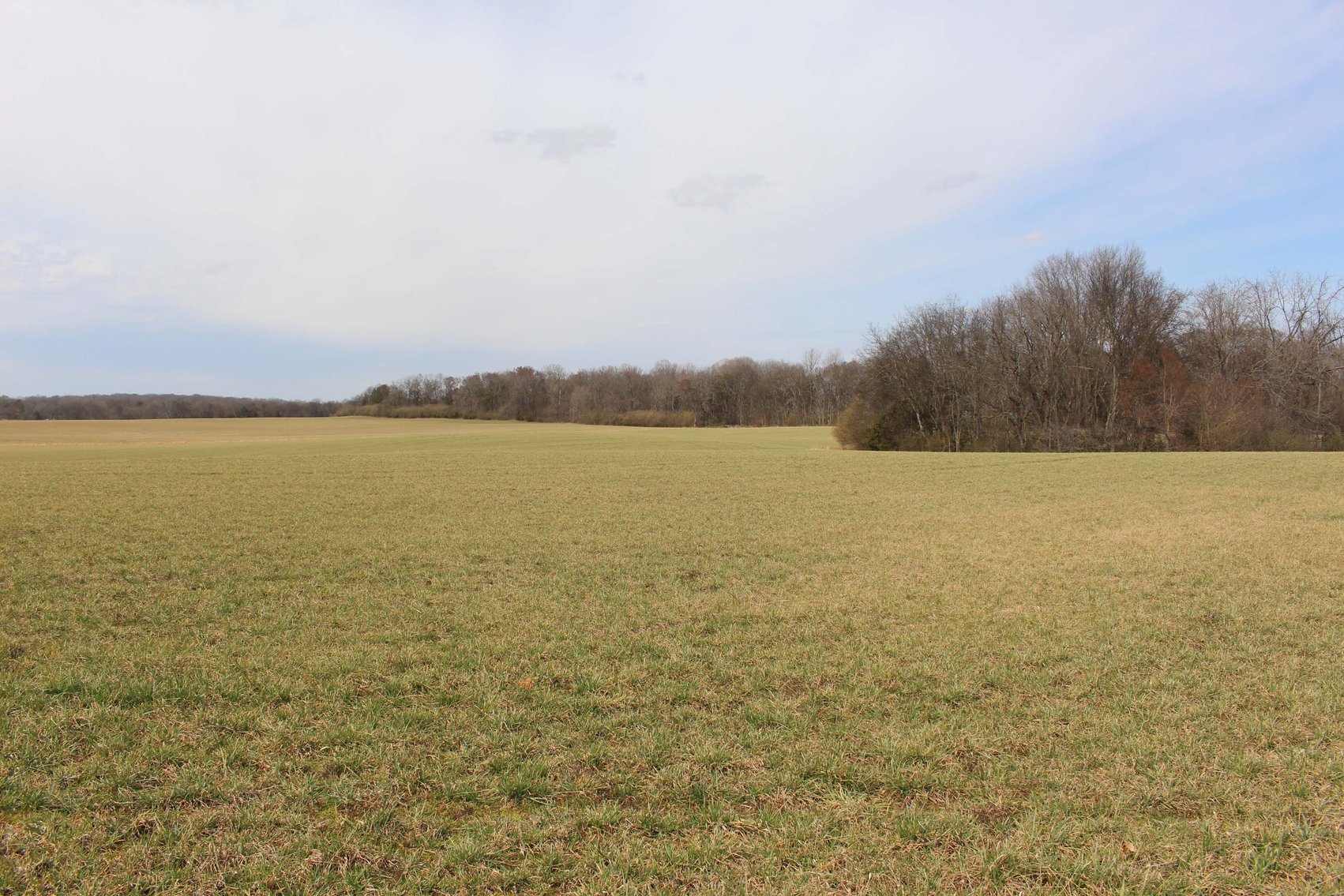 Image for 2108 Powell Lane, Lewisburg - House