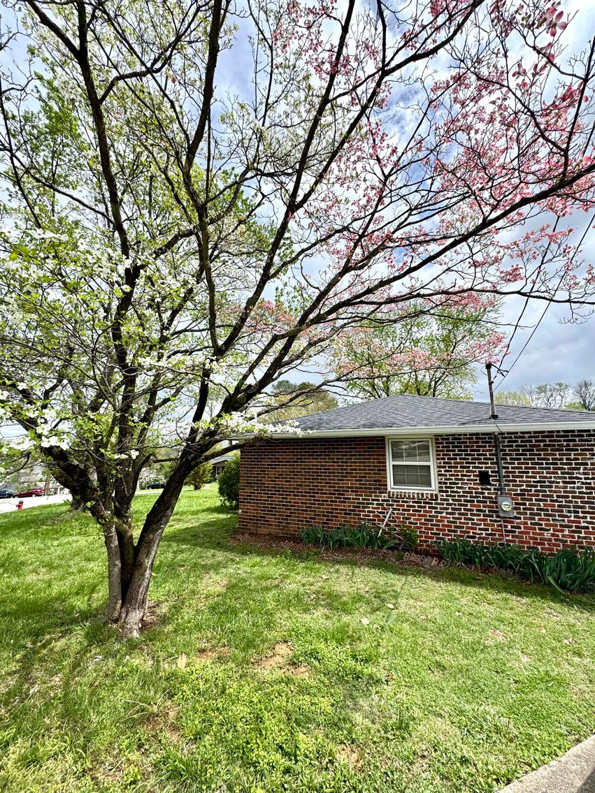 Image for 4913 Olivia Drive, Nashville
