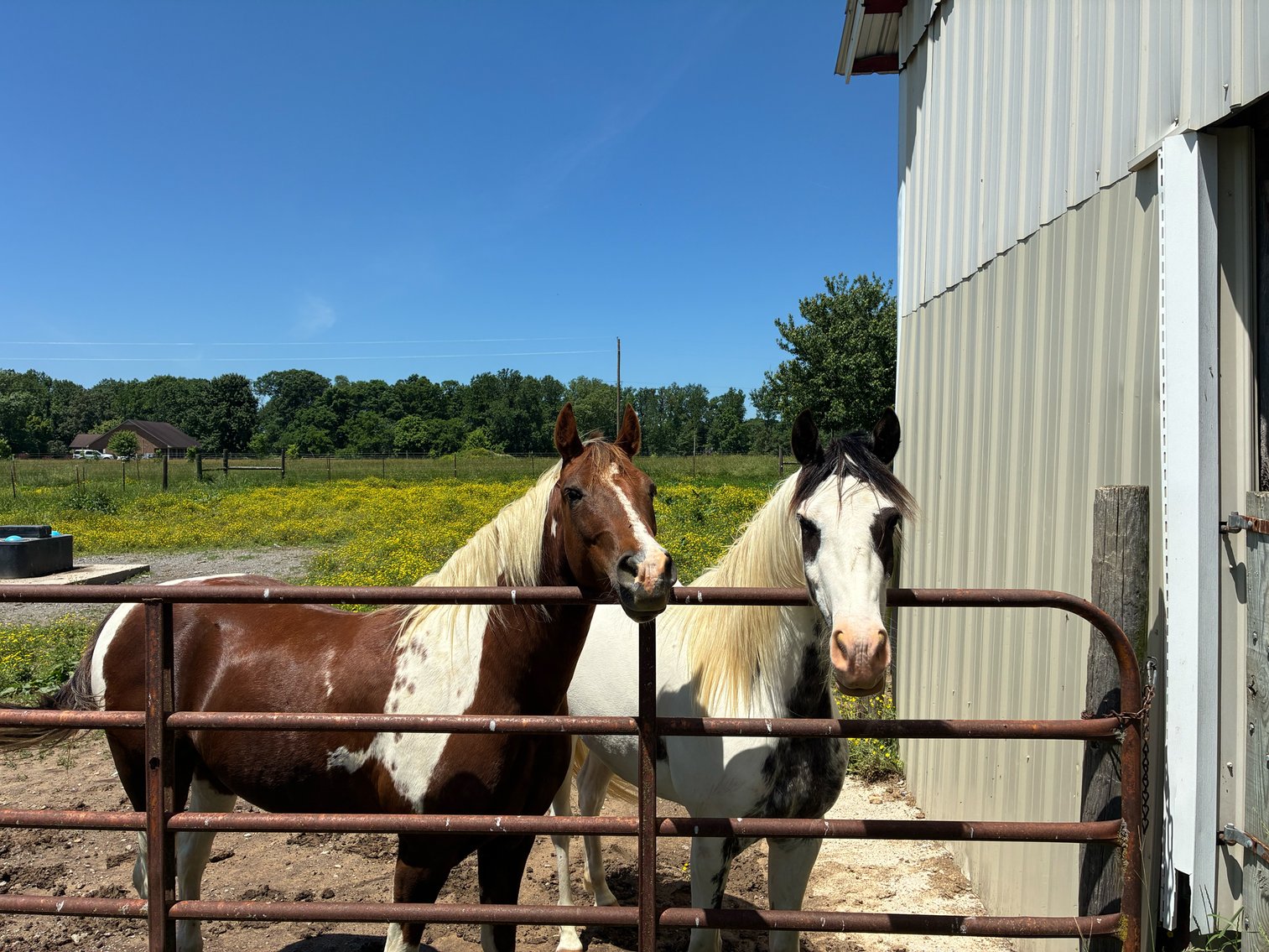 Image for 2060 Geedsville Road, Cannon County