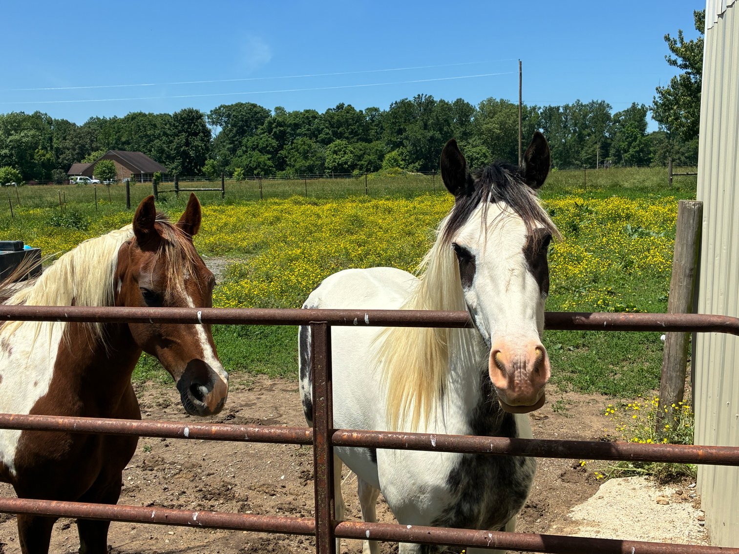 Image for 2060 Geedsville Road, Cannon County