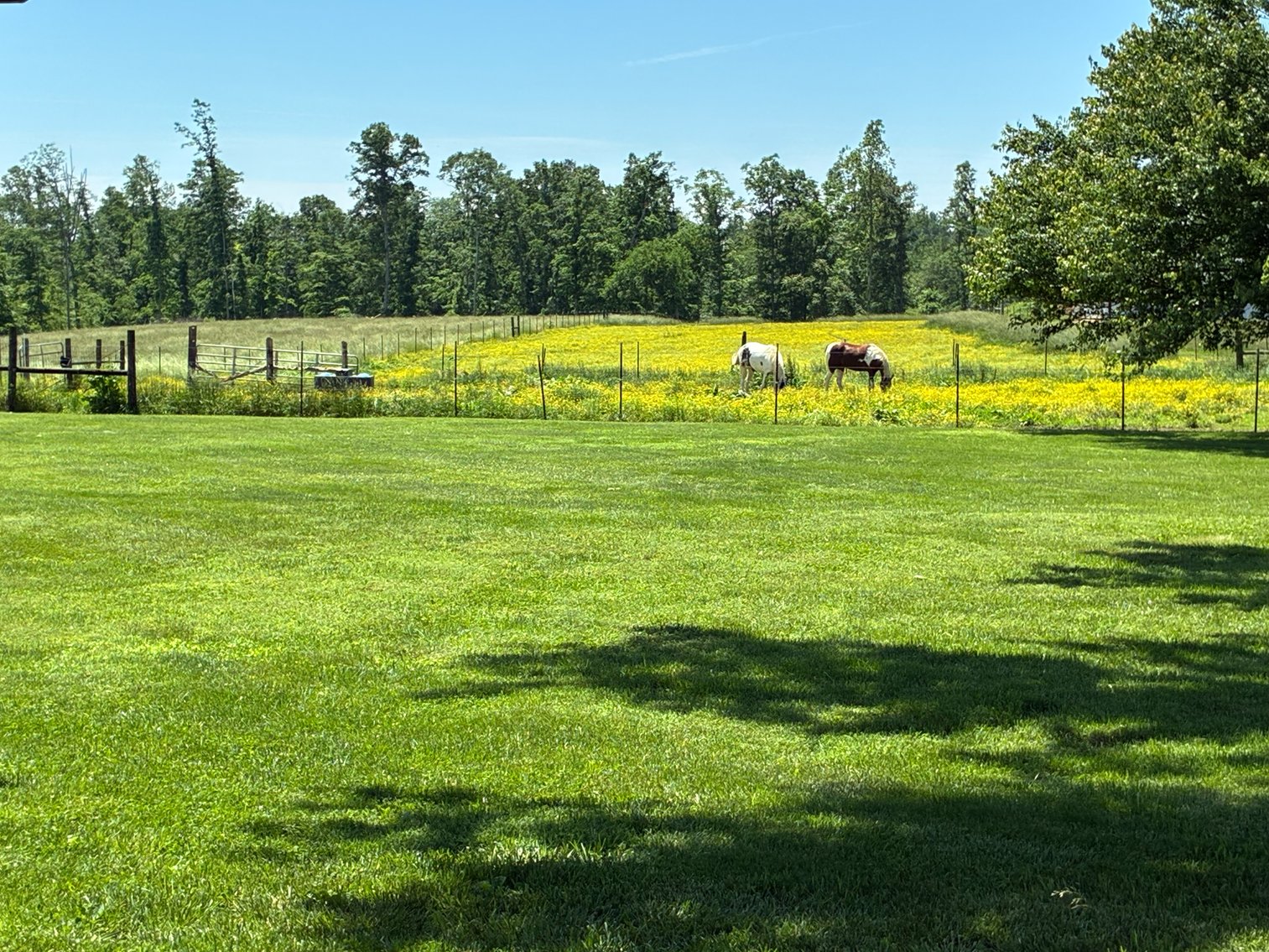 Image for 2060 Geedsville Road, Cannon County