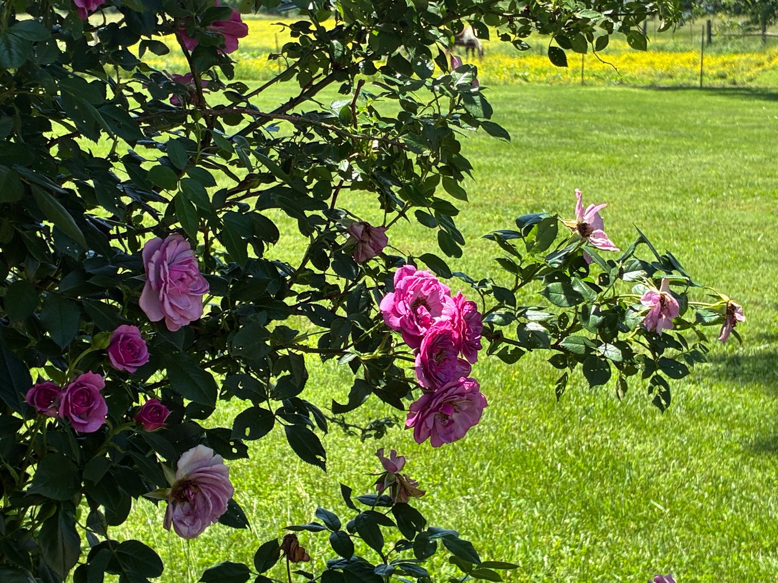 Image for 2060 Geedsville Road, Cannon County