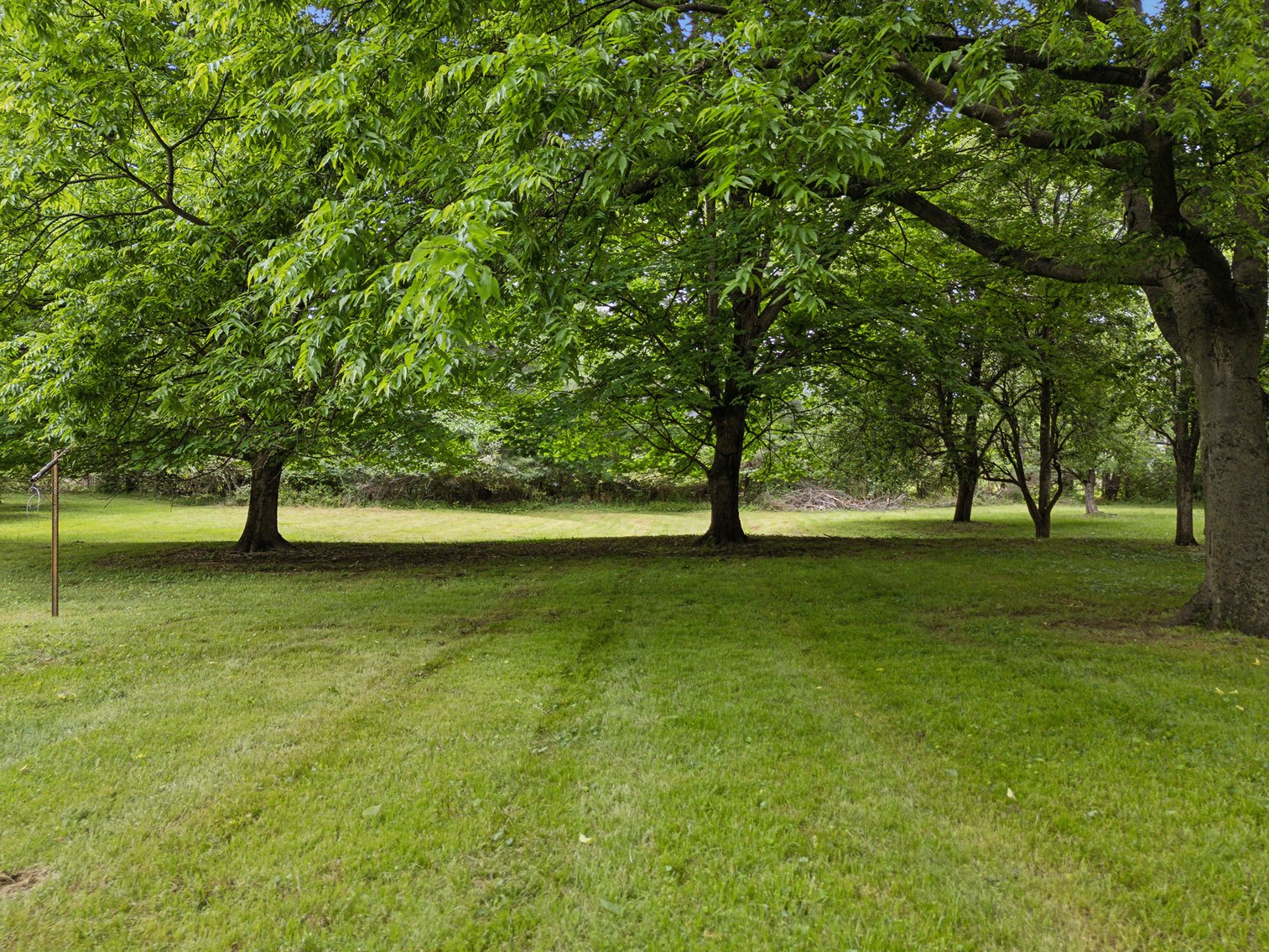 Image for 185 Jones Lane, Old Hickory