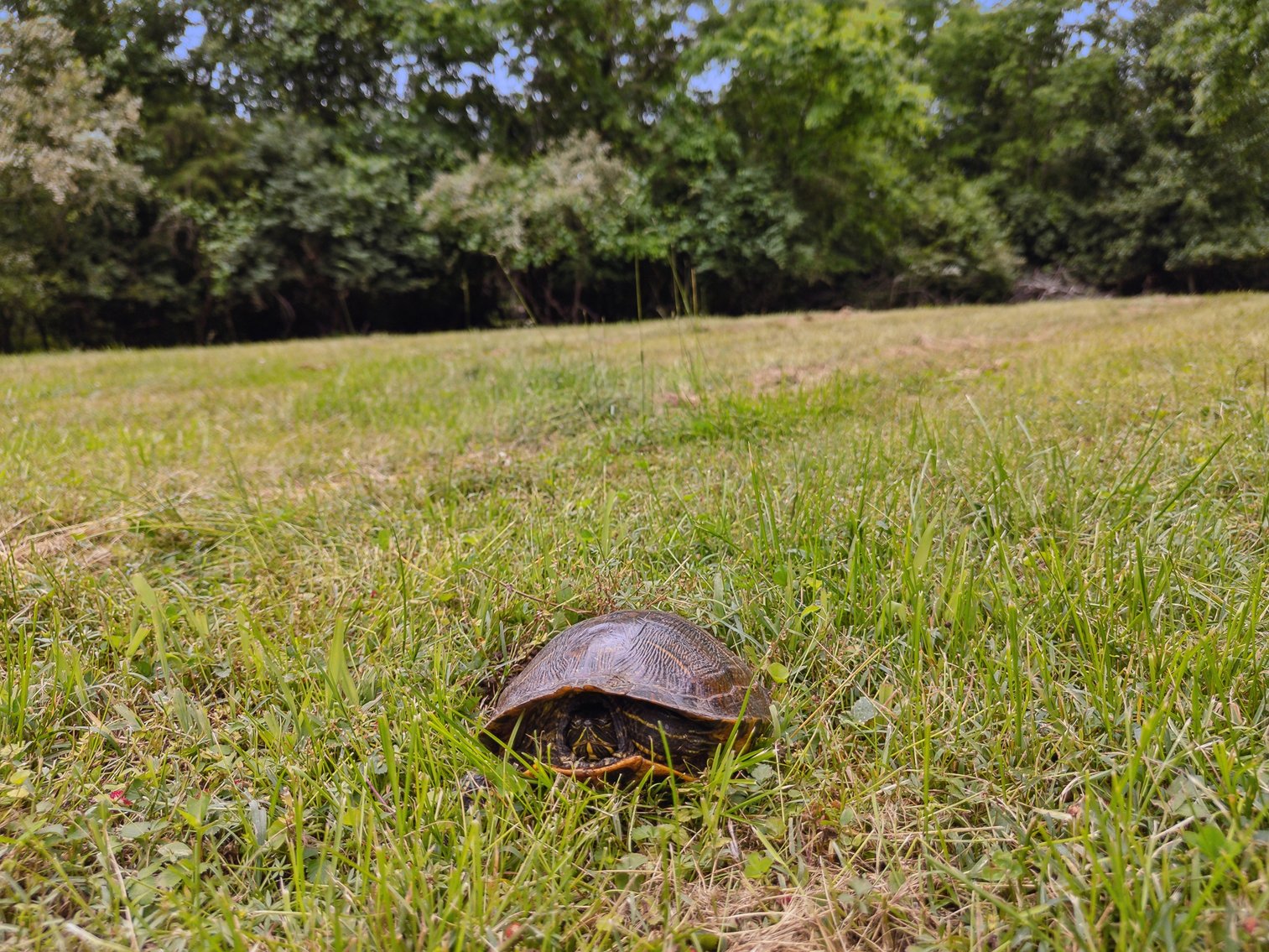 Image for 185 Jones Lane, Old Hickory