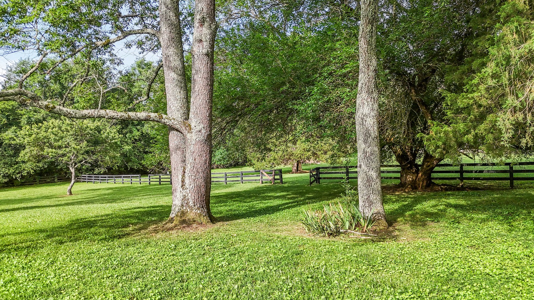 Image for 4623 Lebanon Road, Murfreesboro