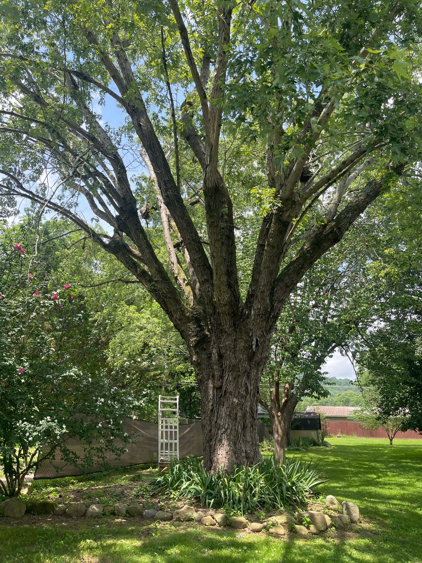 Image for 1019 Dennis Avenue, Jasper