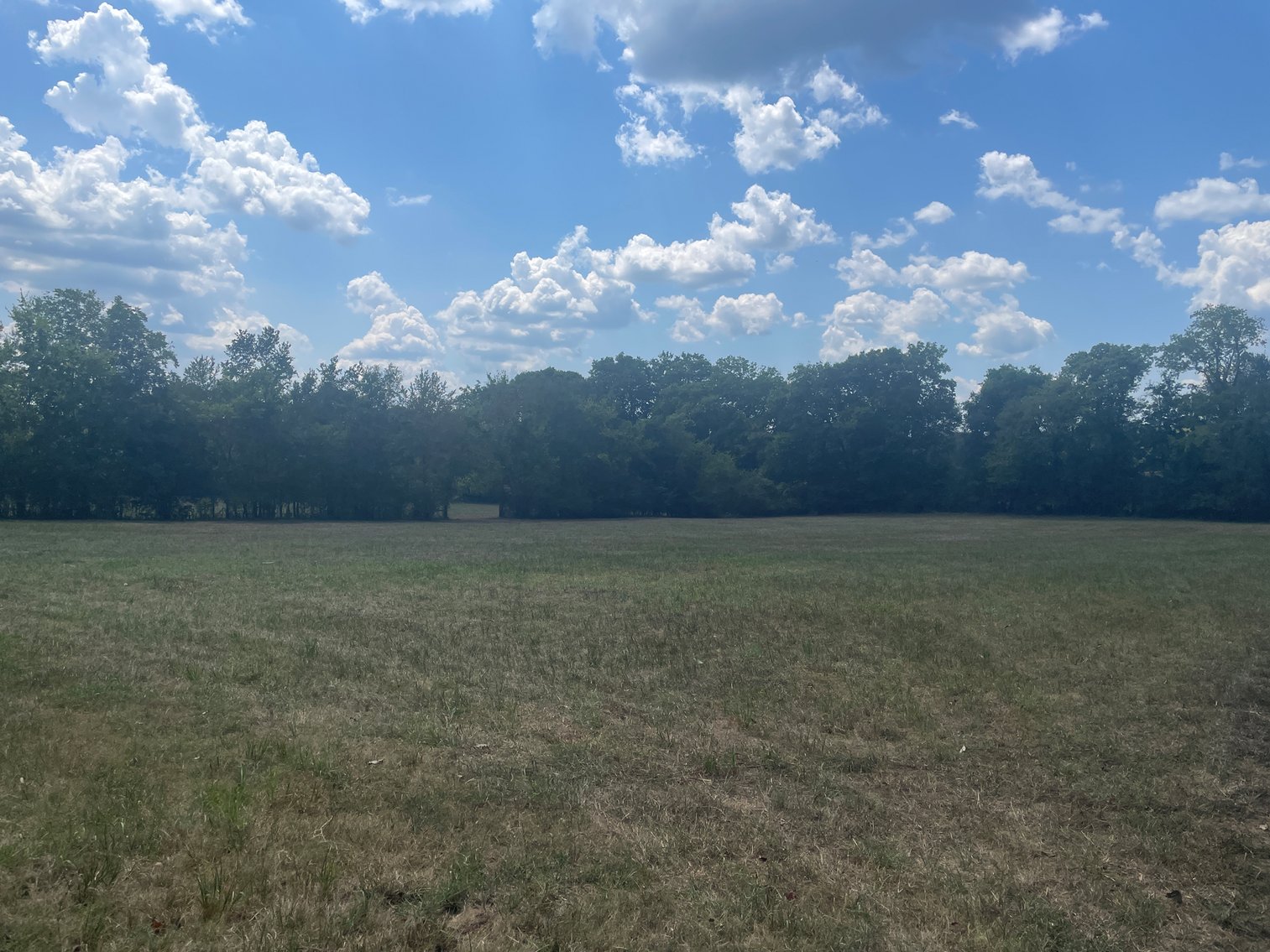 Image for 3107 N. Cross Bridges Road, Columbia