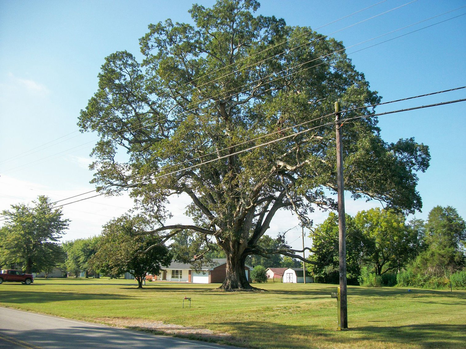 Image for Old McMinnville Highway, Woodbury