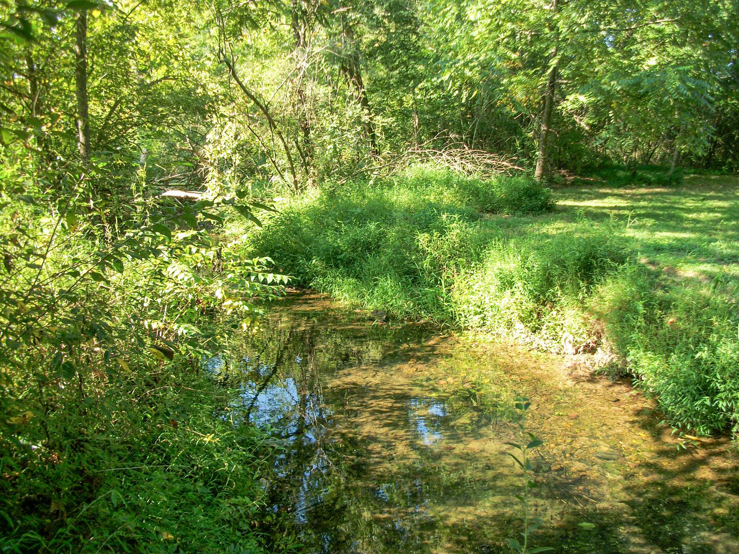Image for Old McMinnville Highway, Woodbury