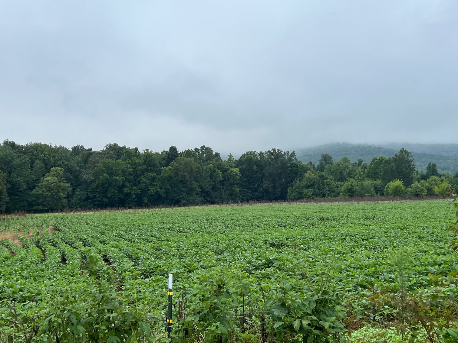 Image for 836 Spur Rd, Decherd