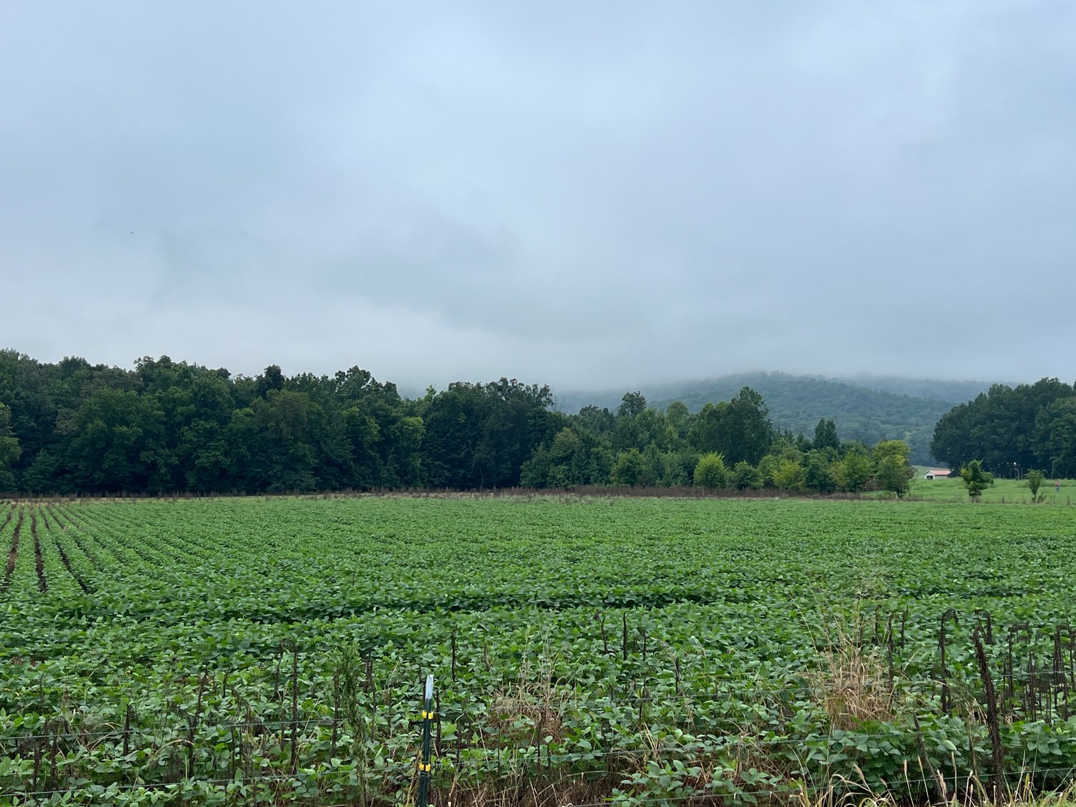 Image for 836 Spur Rd, Decherd