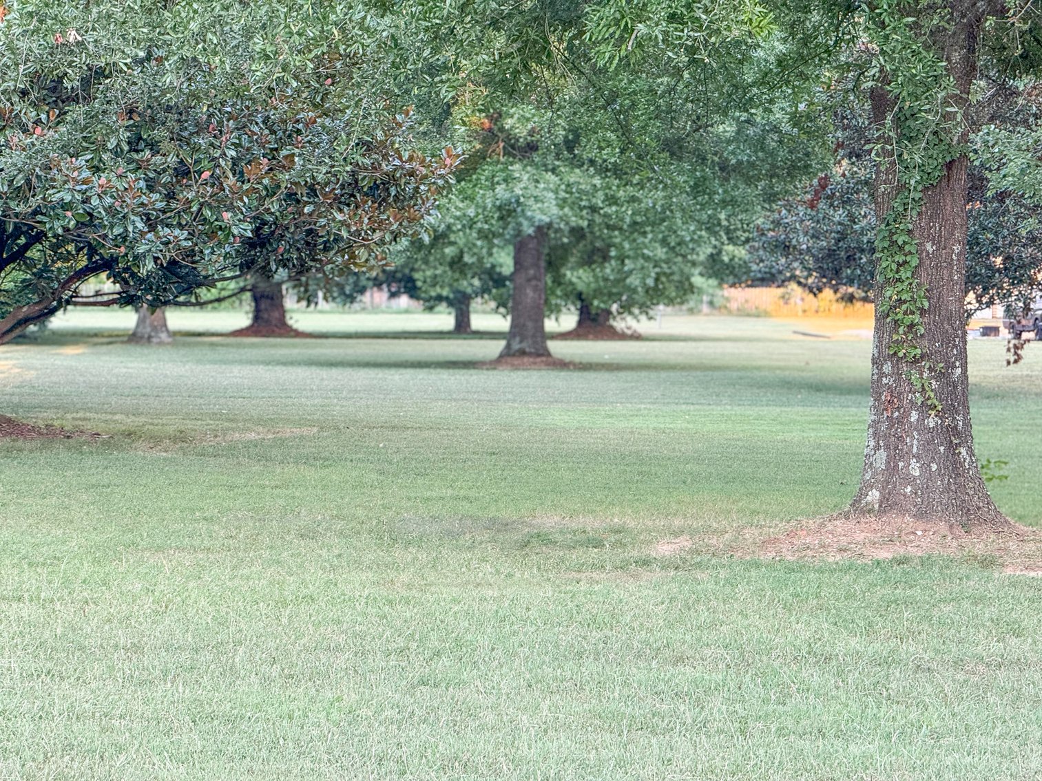 Image for 400 Brinkley Road, Murfreesboro