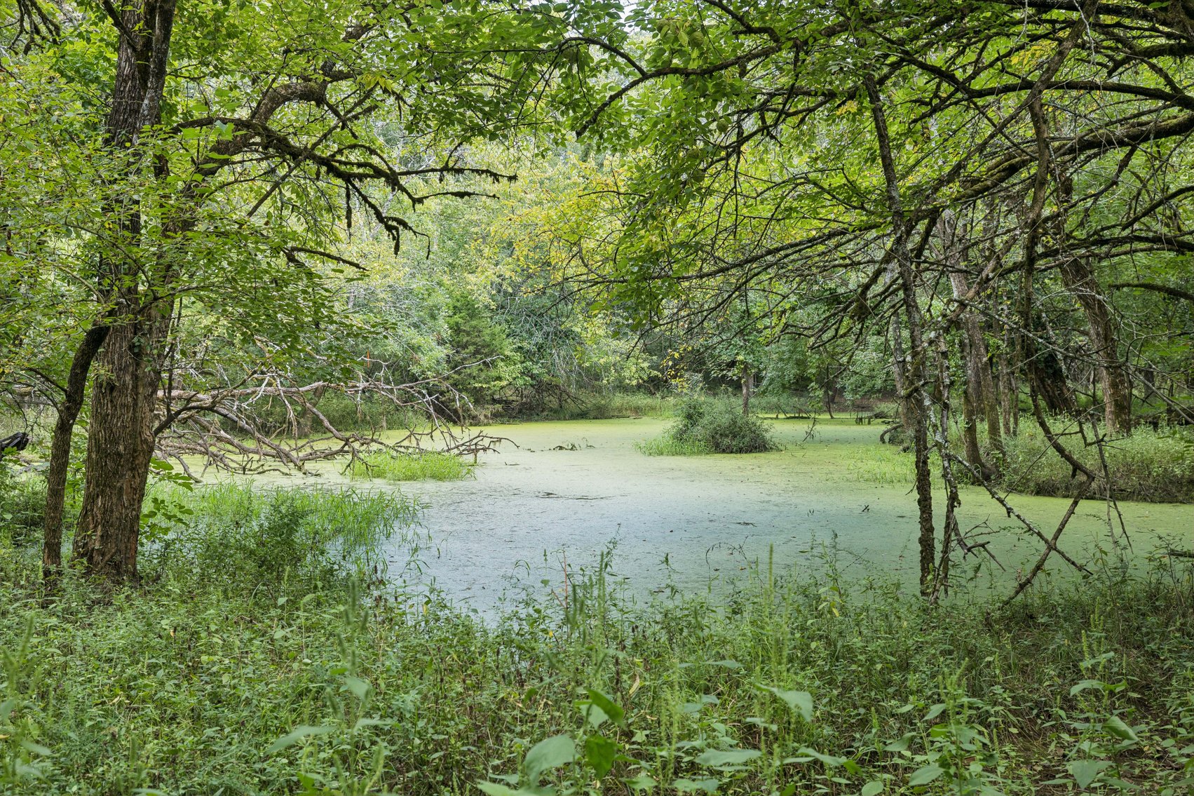 Image for Parcel 35 Old Nashville Hwy, Murfreesboro