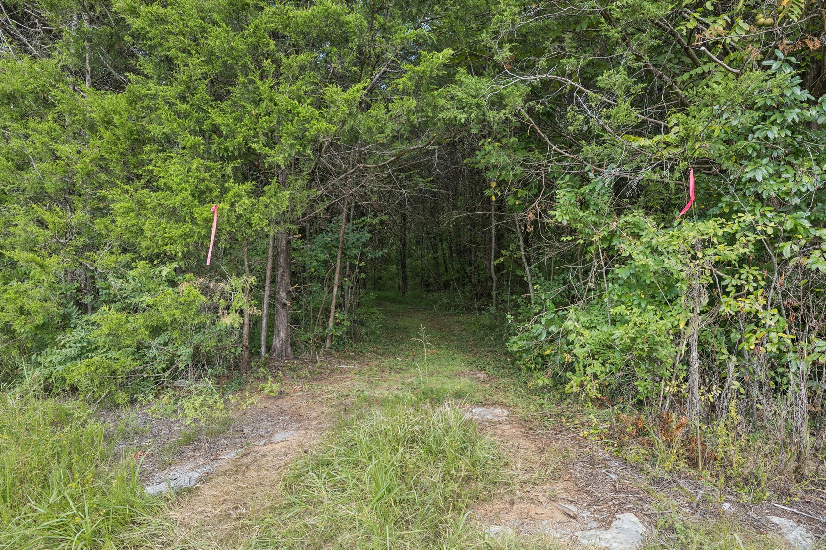 Image for Parcel 35 Old Nashville Hwy, Murfreesboro