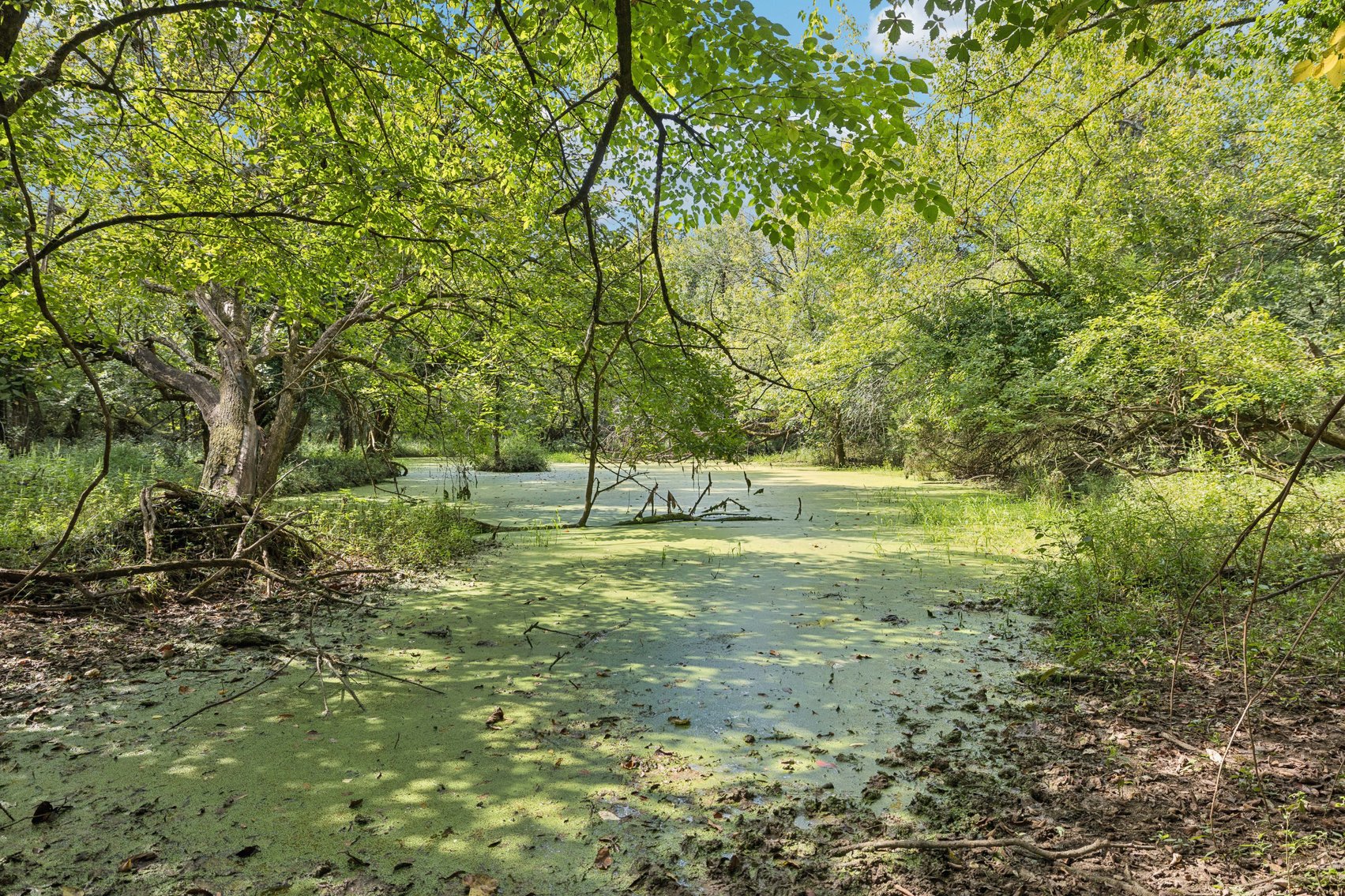 Image for Parcel 35 Old Nashville Hwy, Murfreesboro