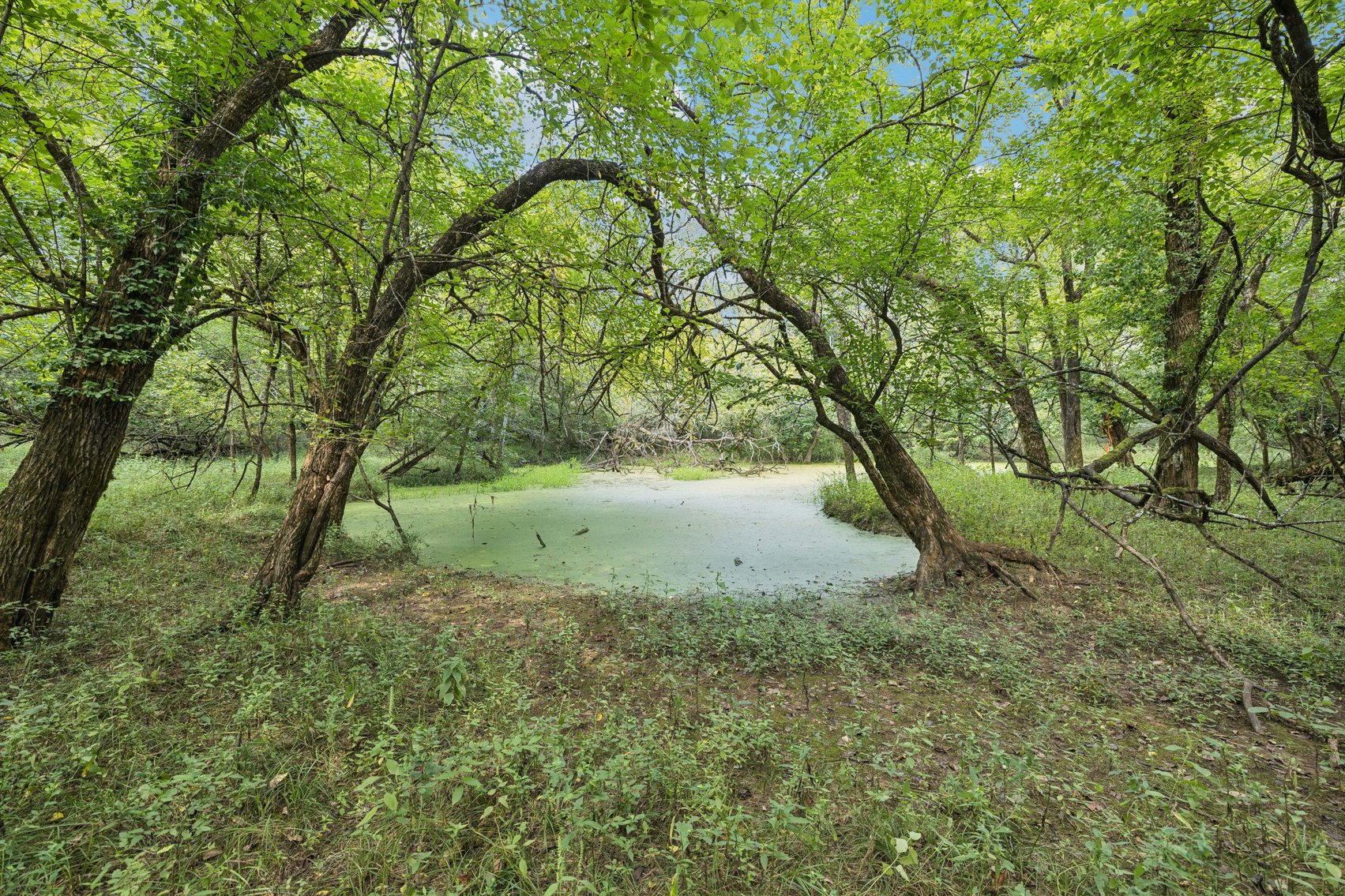 Image for Parcel 35 Old Nashville Hwy, Murfreesboro