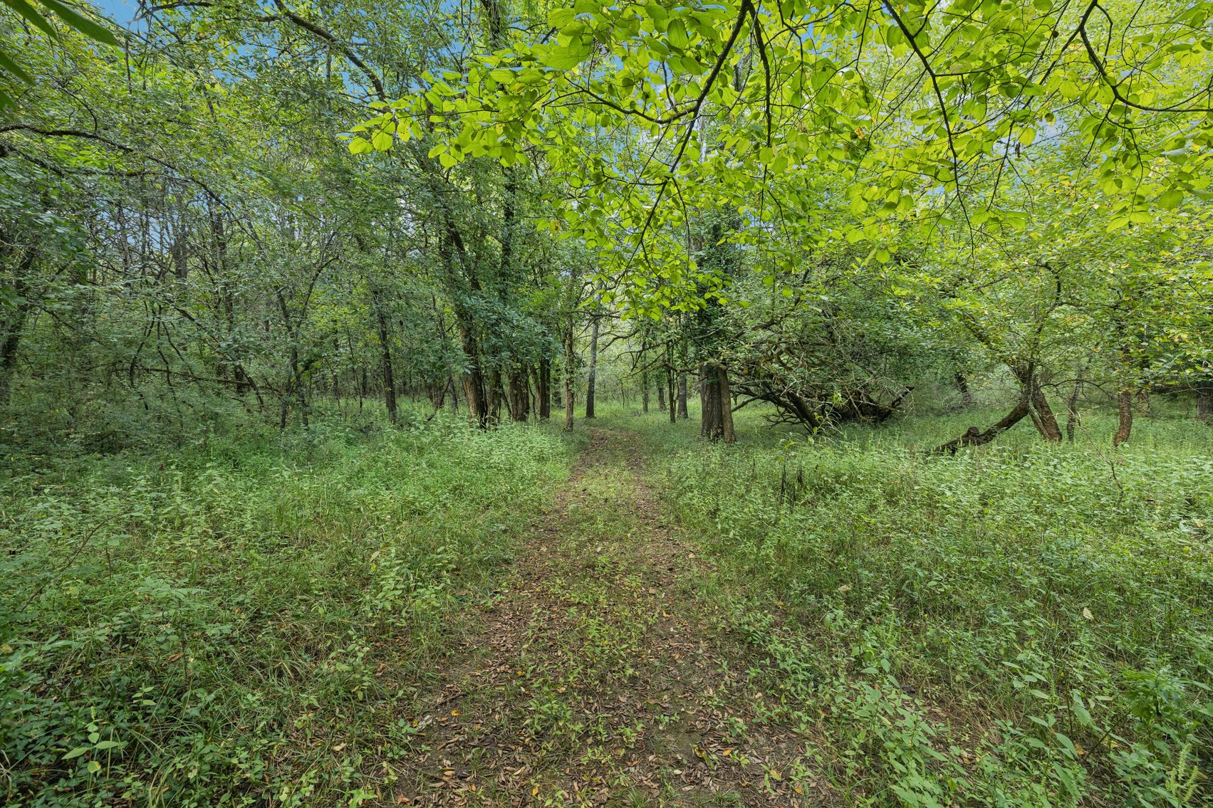 Image for Parcel 35 Old Nashville Hwy, Murfreesboro